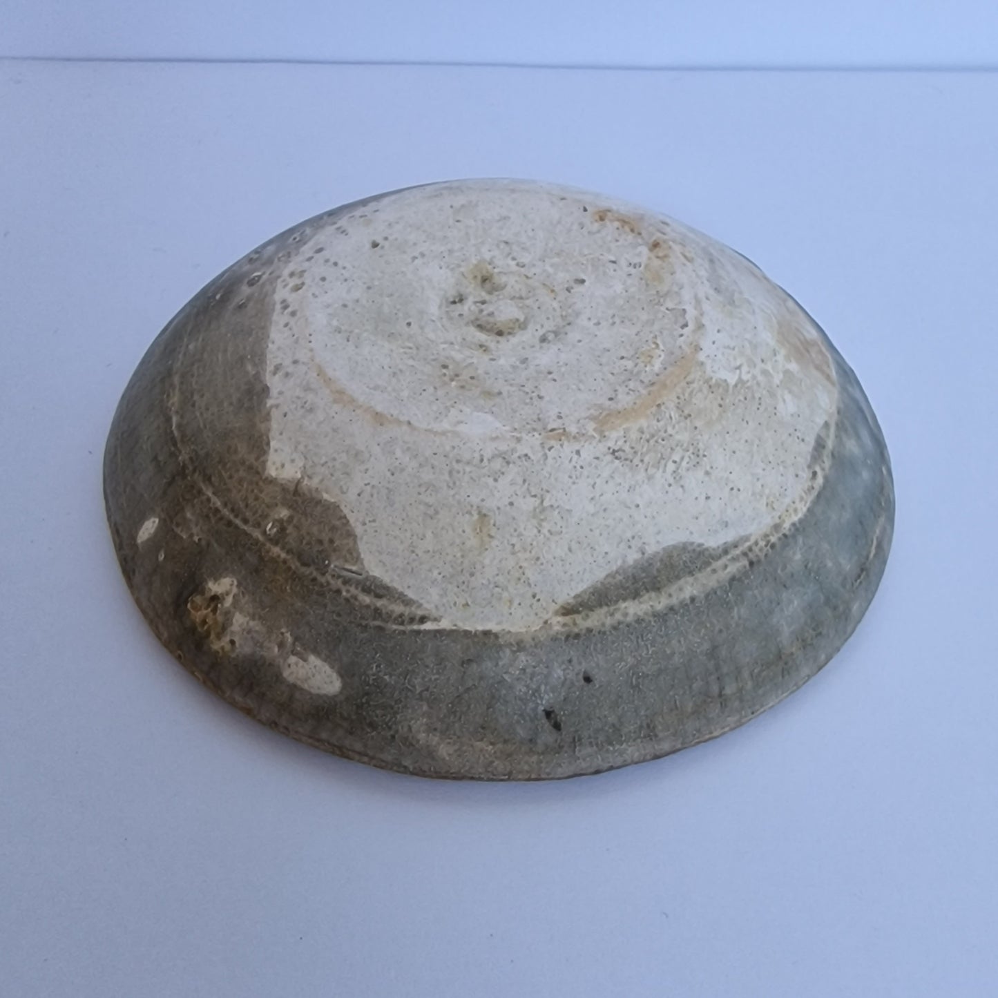 celadon saucer dish provincial Ming song china