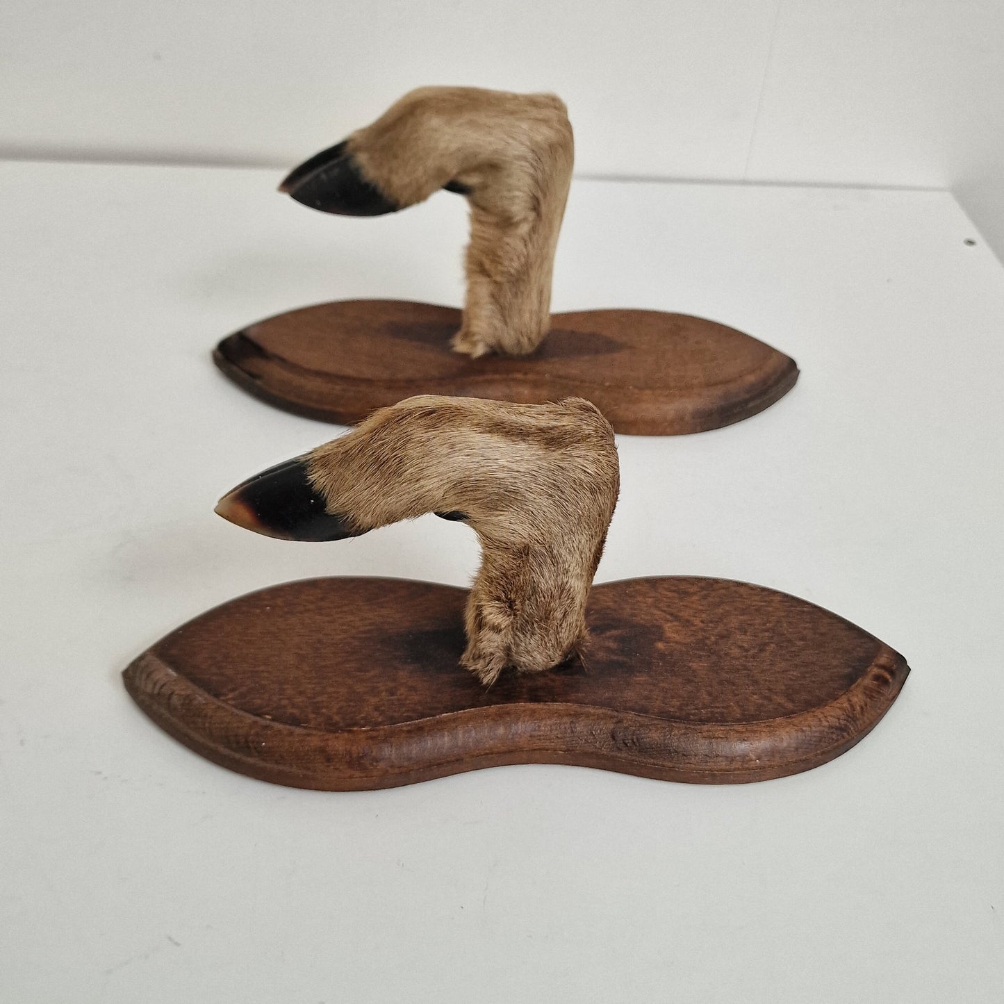 Antique Goat Leg Coatrack, Hunting Cabin Decor, Set of 2