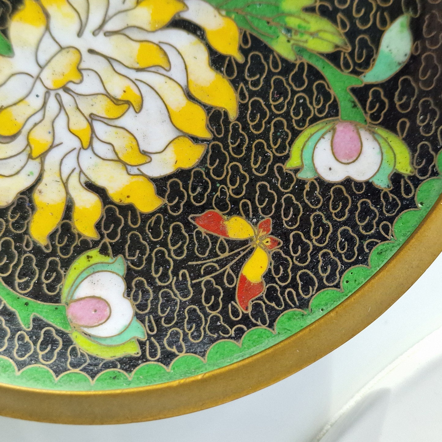 Antique Chinese Cloisonne Plate, Chrysanthemum Butterfly Design, Republic Era