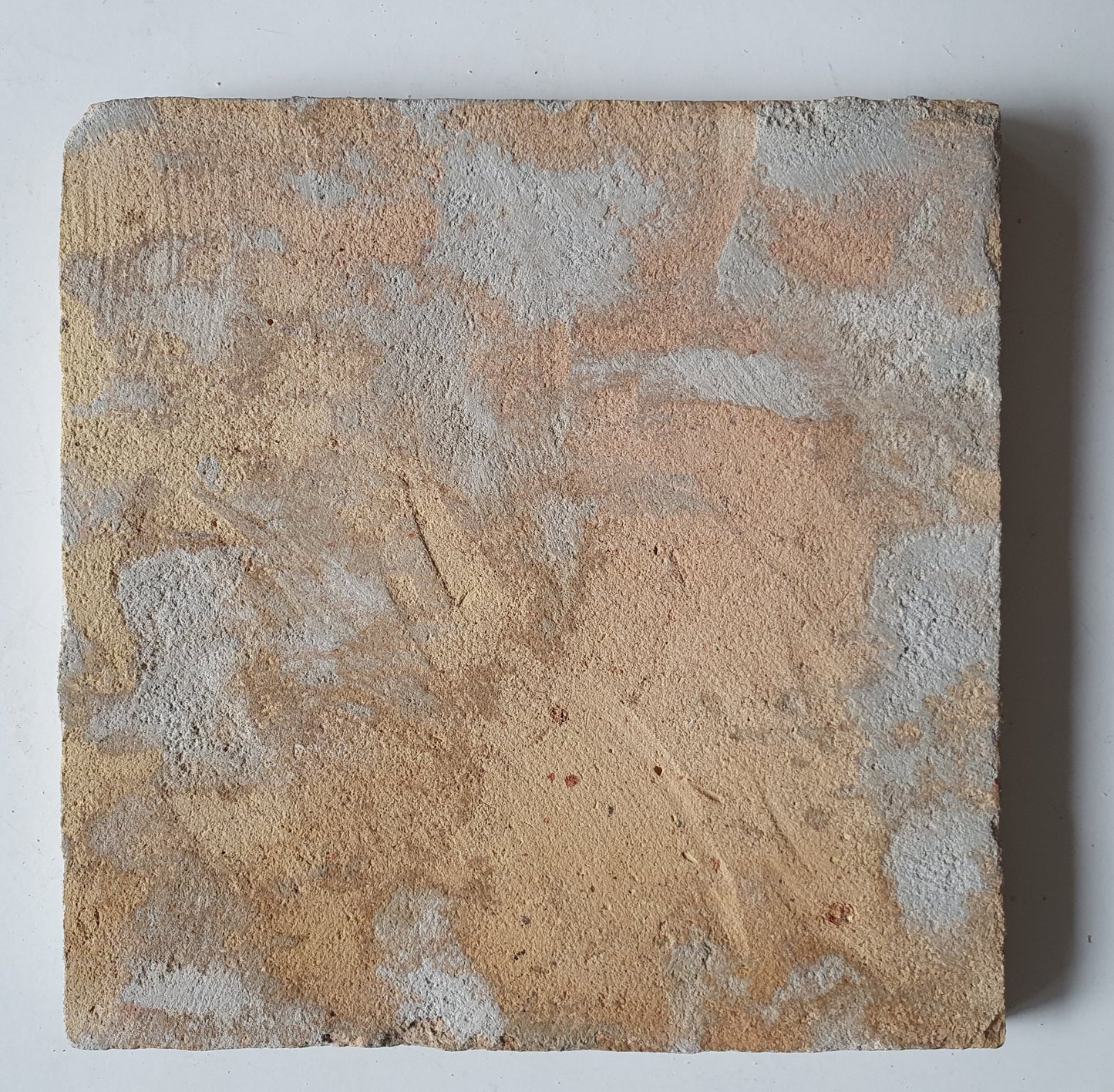 Sea creatures tile, . 17th century Antique Dutch 1630-1650, nice! Seacreature delft exclusive manganese