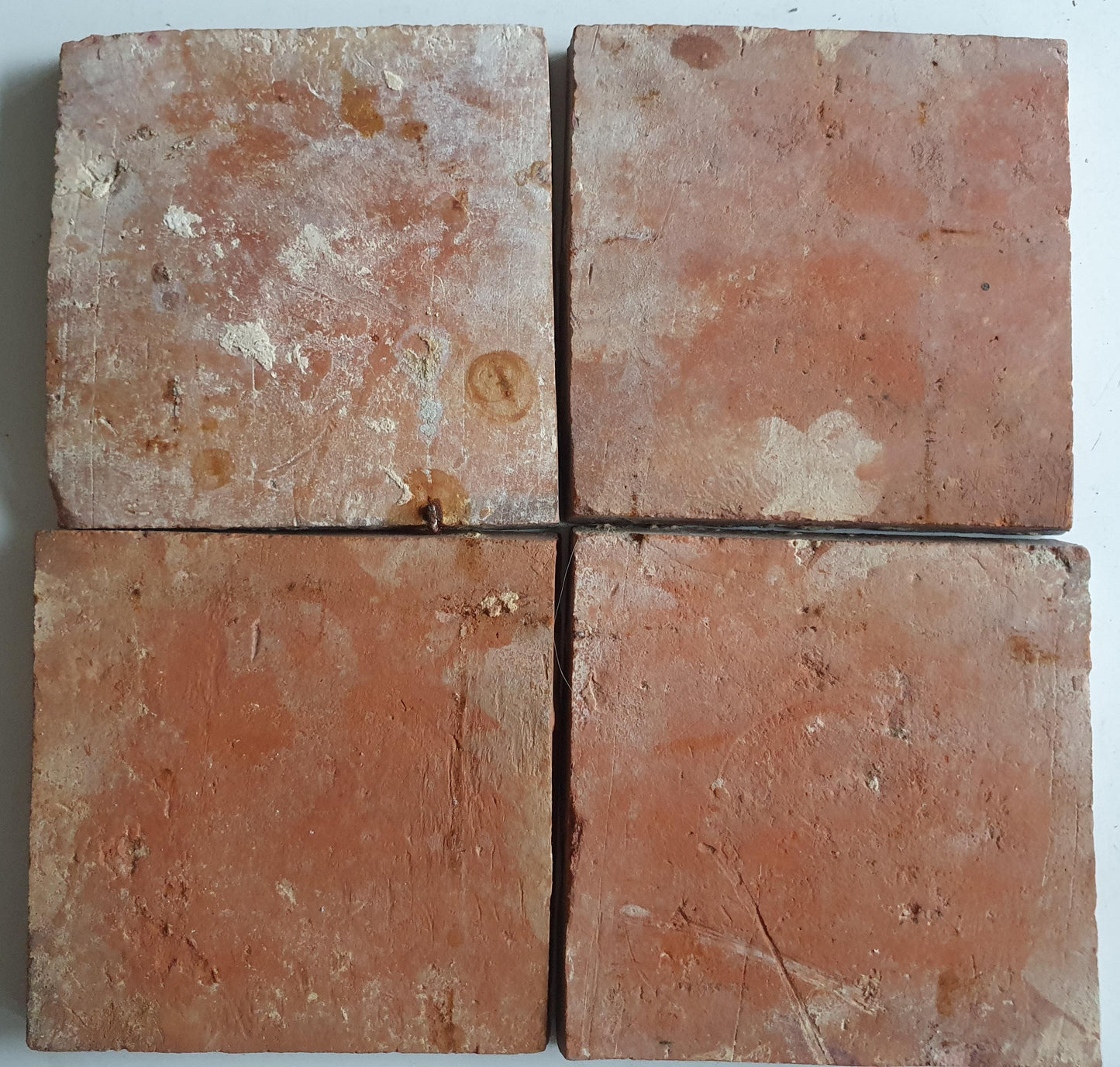 4 x 18th century Antique Tile lion with lilyhead corner motive
