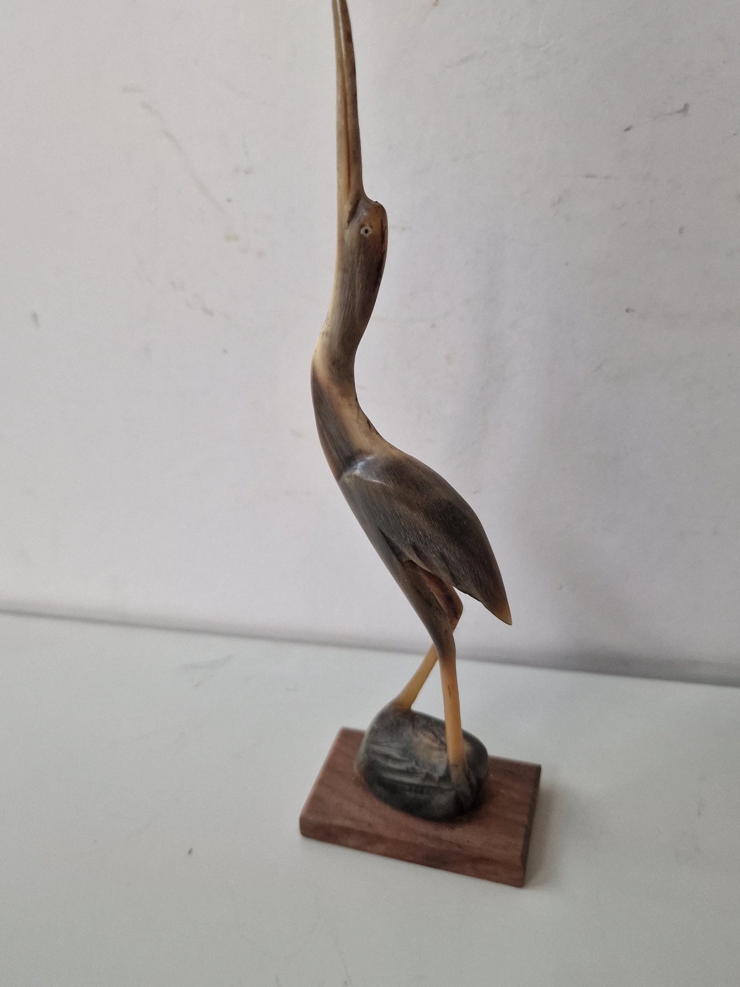 bone crane bird old