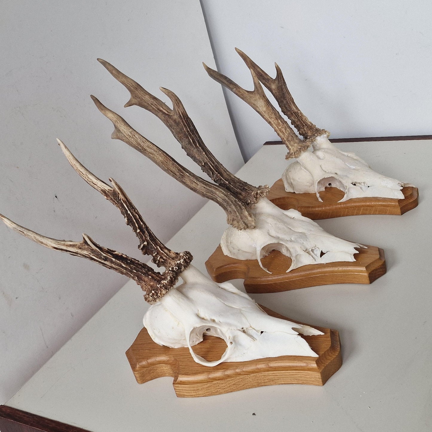 Deer Antler Mounts on Wood Shield, Hunting Decor (Set of 3)