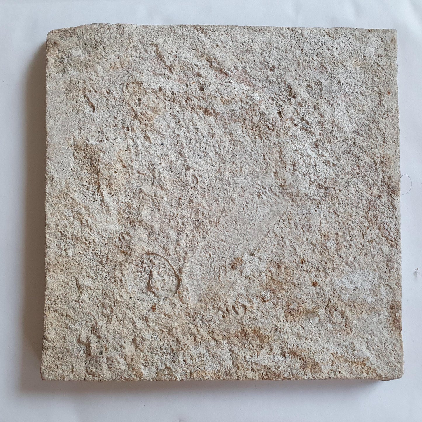 Antique Dutch Tile: Rotterdam 1625 Hare Kroontegel