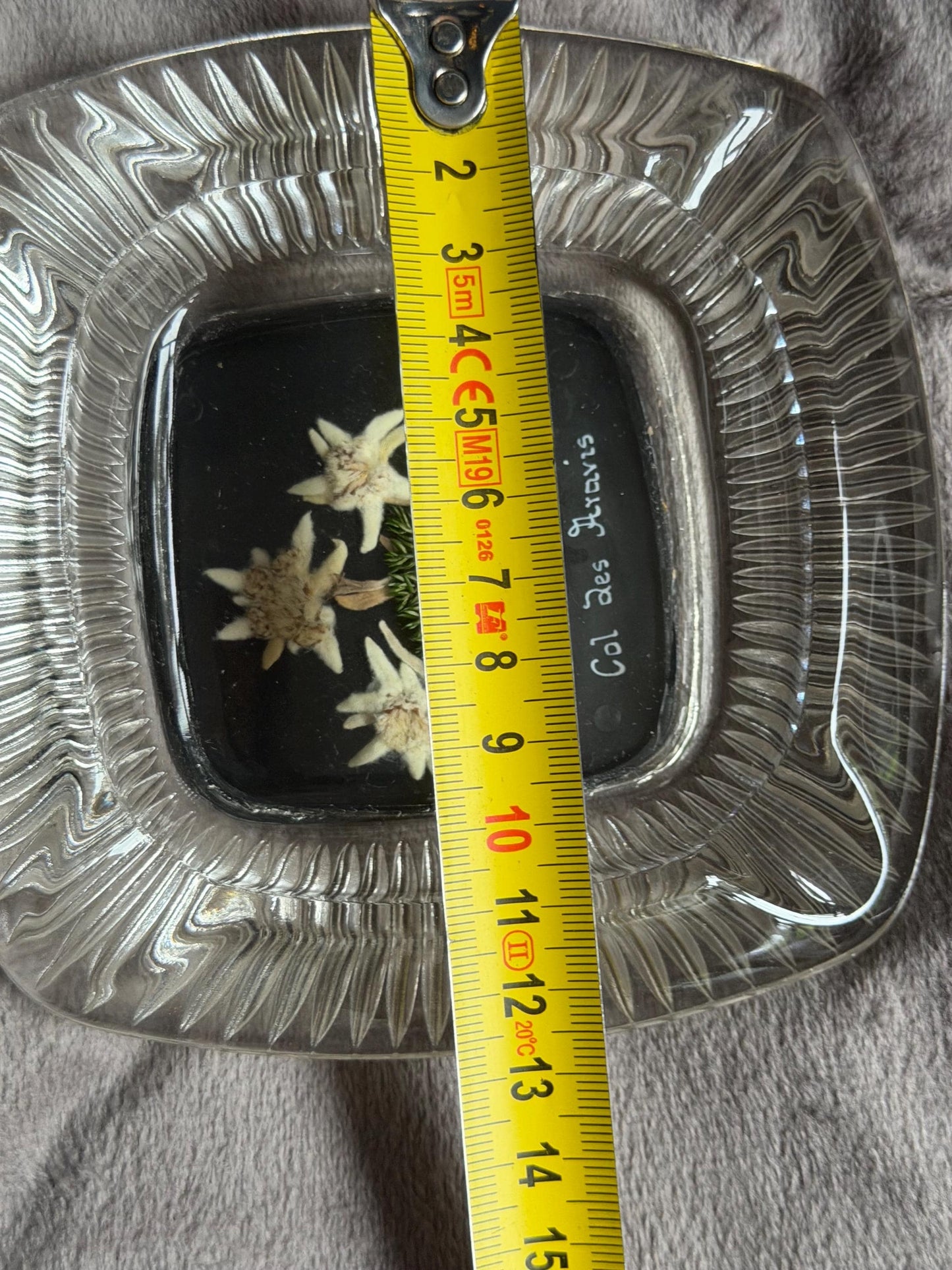 Col de aravis vintage French Alps real edelweiss in glass