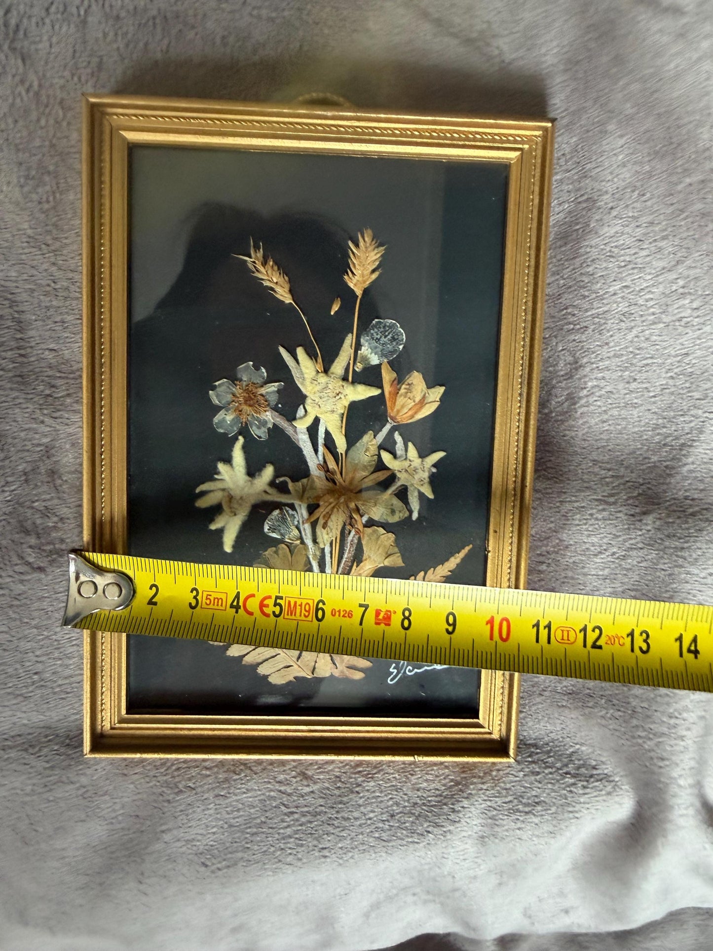 Vintage Edelweiss Painting, Mid-Century Alpen Floral Art, Framed midcentury handpicked alp bouquet