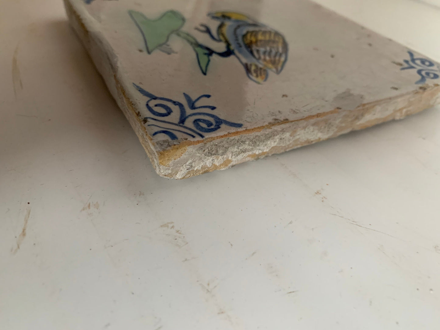 Antique Dutch Tile - polychrome bird / parrot with ox head corner motives - Dated 1630