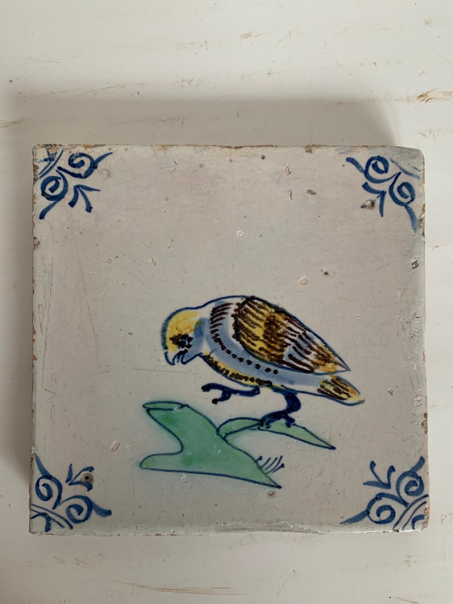 Antique Dutch Tile - polychrome bird / parrot with ox head corner motives - Dated 1630
