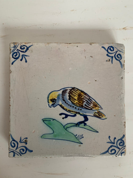Antique Dutch Tile - polychrome bird / parrot with ox head corner motives - Dated 1630