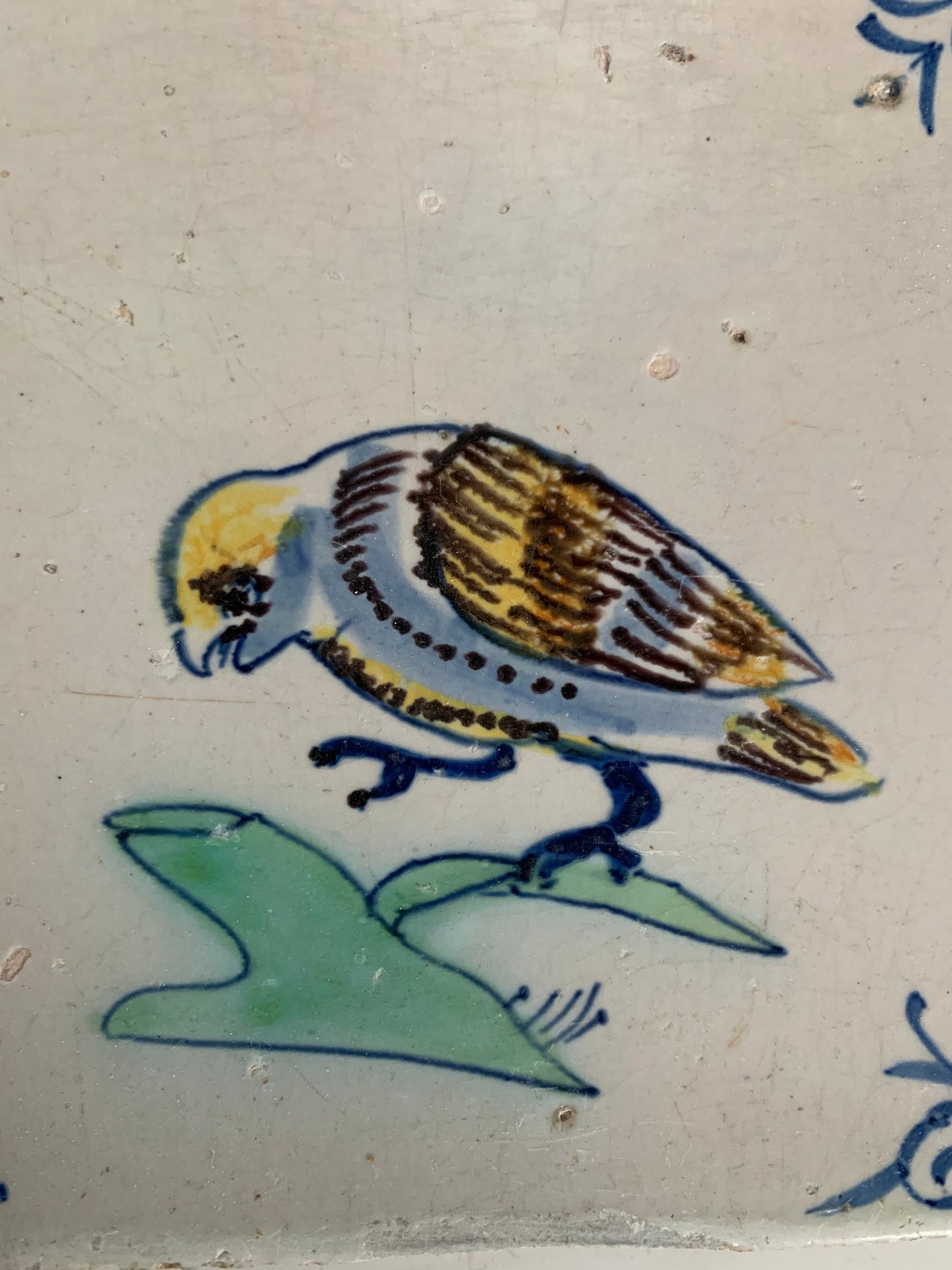 Antique Dutch Tile - polychrome bird / parrot with ox head corner motives - Dated 1630