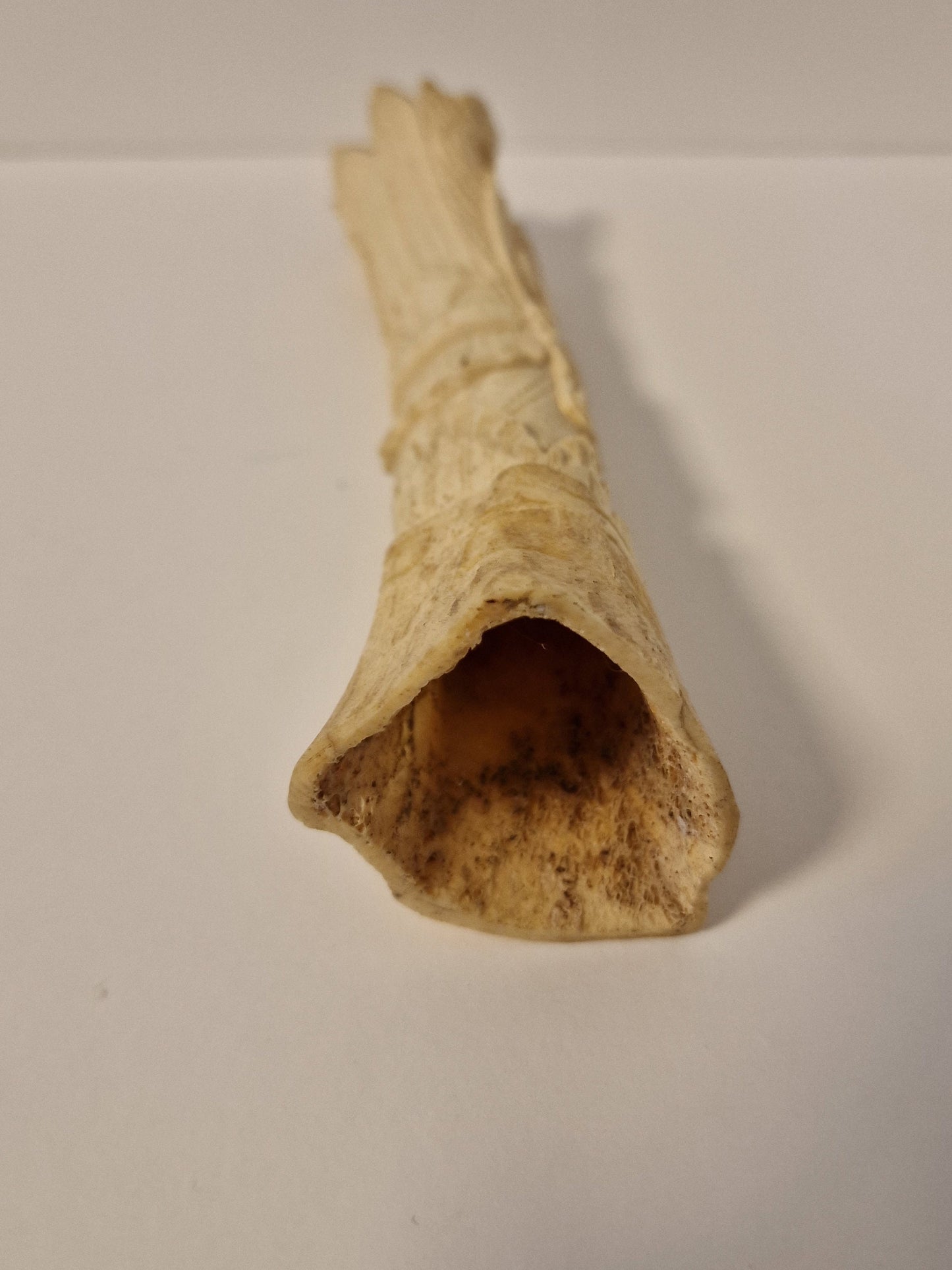 Penselenbeker, indonesie, azie zuid oost azie, horn, pencil cup brush pot