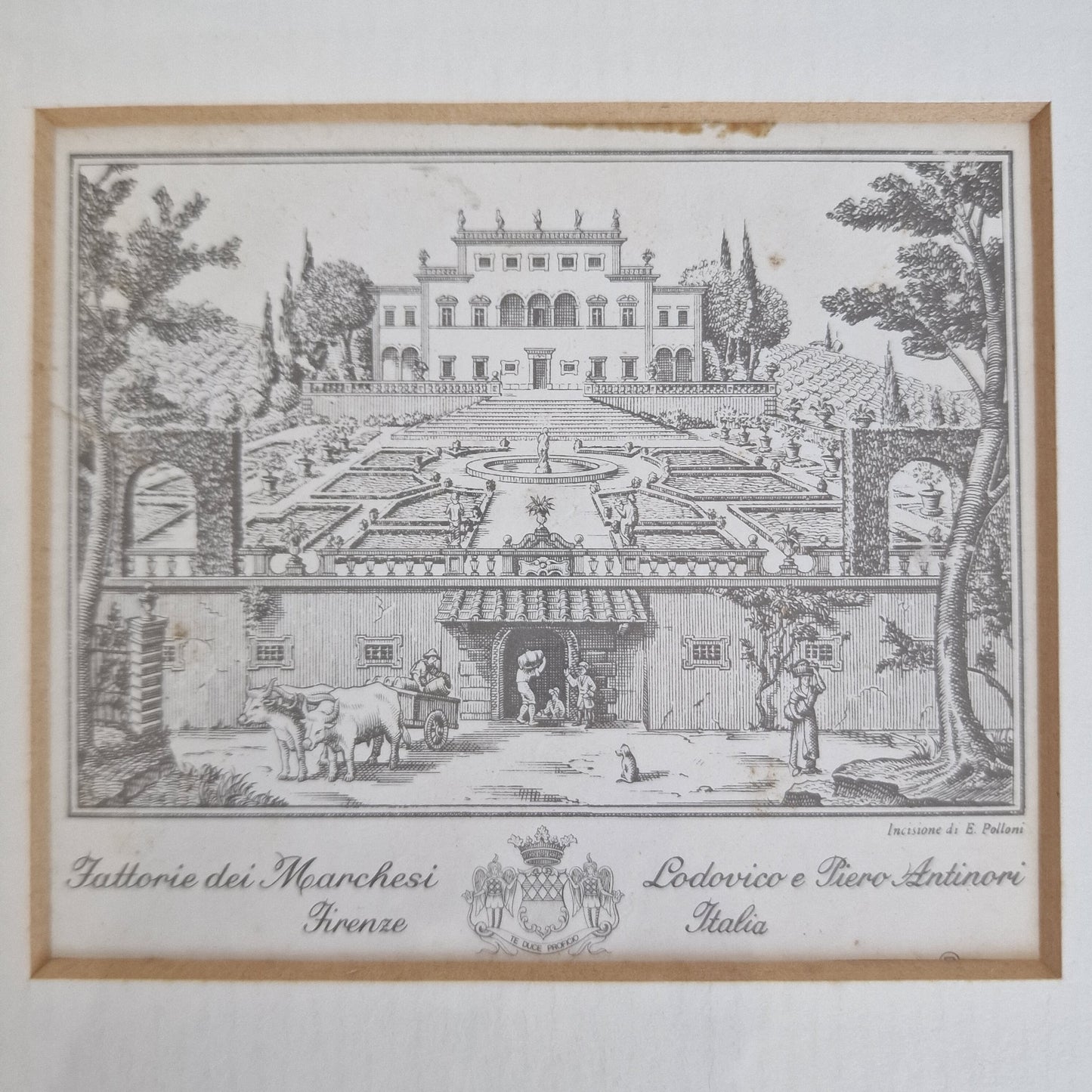 Antieke gravure  Firenze, polloni, ingelijst, krantenknipsel erbij, bijzonder object, tattorie dei marchesie antiques