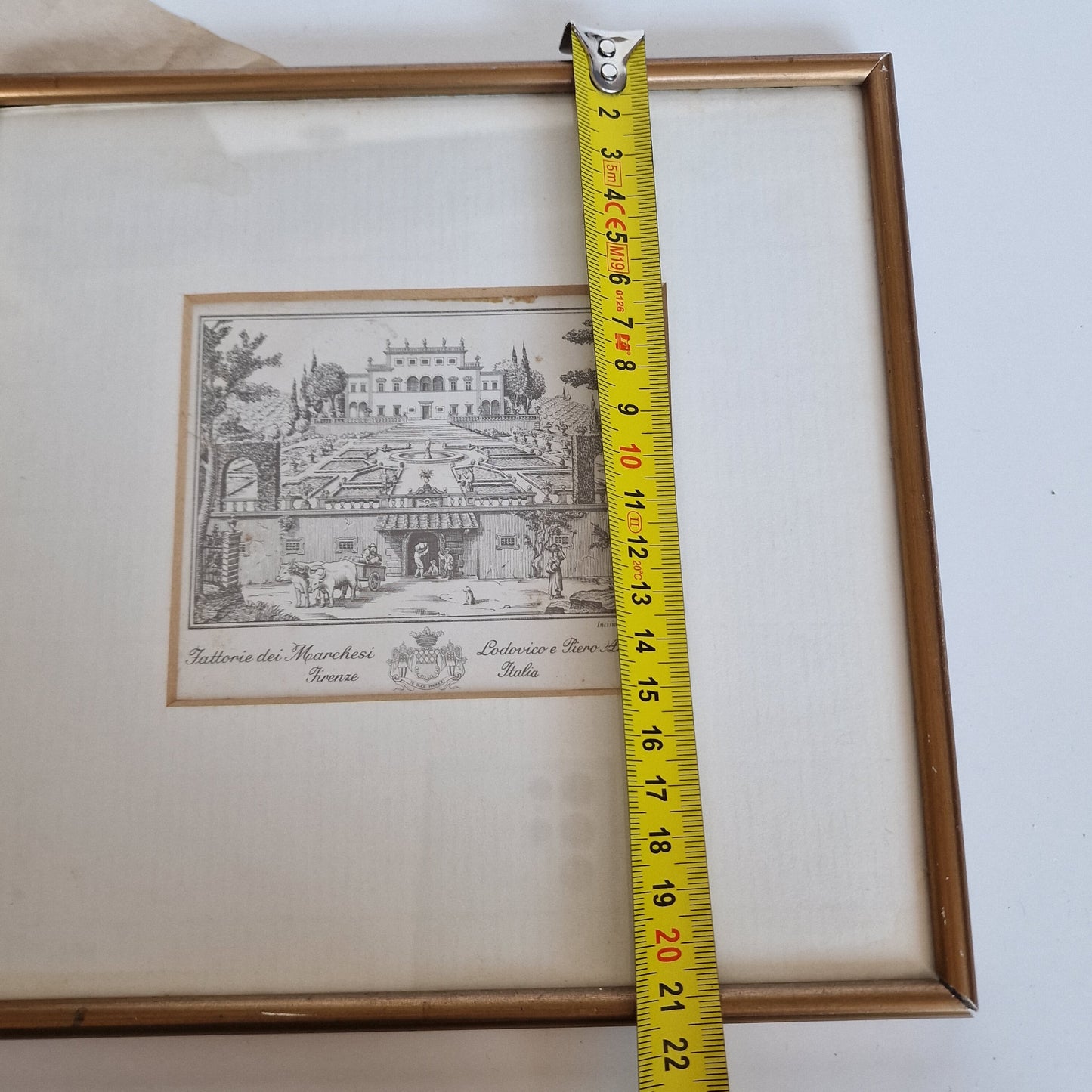 Antieke gravure  Firenze, polloni, ingelijst, krantenknipsel erbij, bijzonder object, tattorie dei marchesie antiques