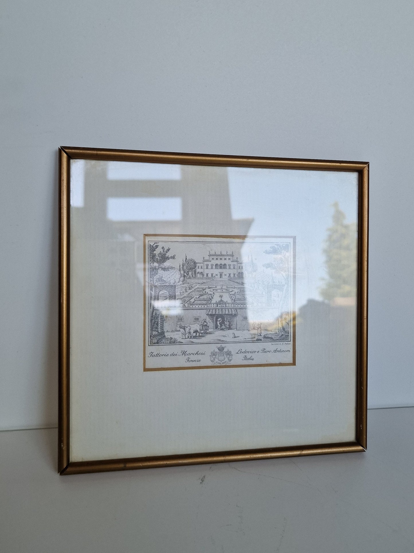 Antieke gravure  Firenze, polloni, ingelijst, krantenknipsel erbij, bijzonder object, tattorie dei marchesie antiques