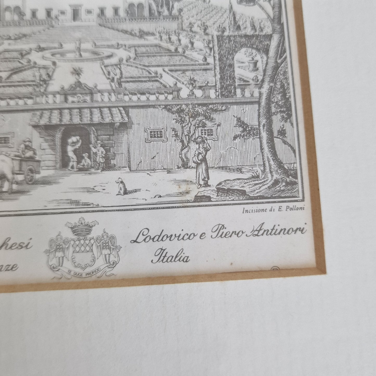 Antieke gravure  Firenze, polloni, ingelijst, krantenknipsel erbij, bijzonder object, tattorie dei marchesie antiques