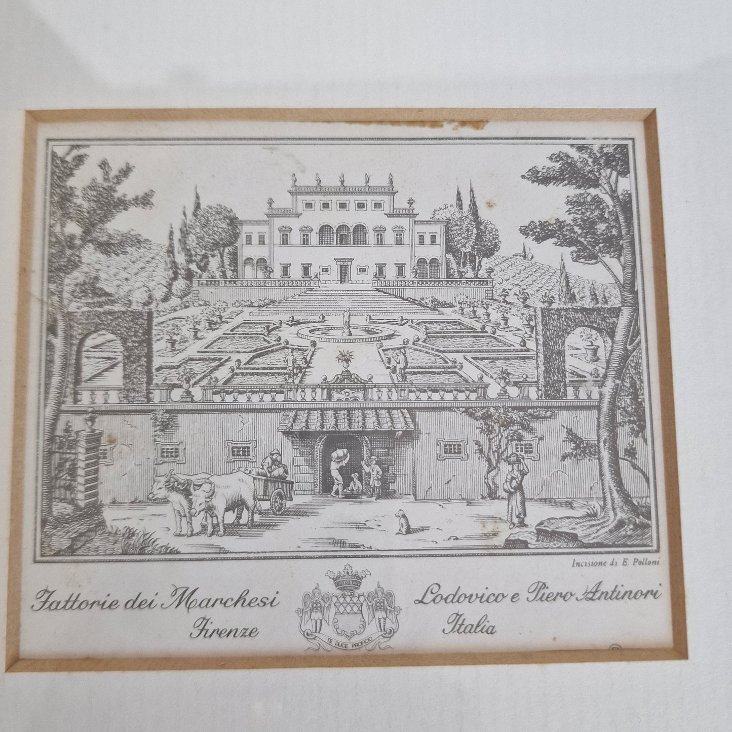 Antieke gravure  Firenze, polloni, ingelijst, krantenknipsel erbij, bijzonder object, tattorie dei marchesie antiques