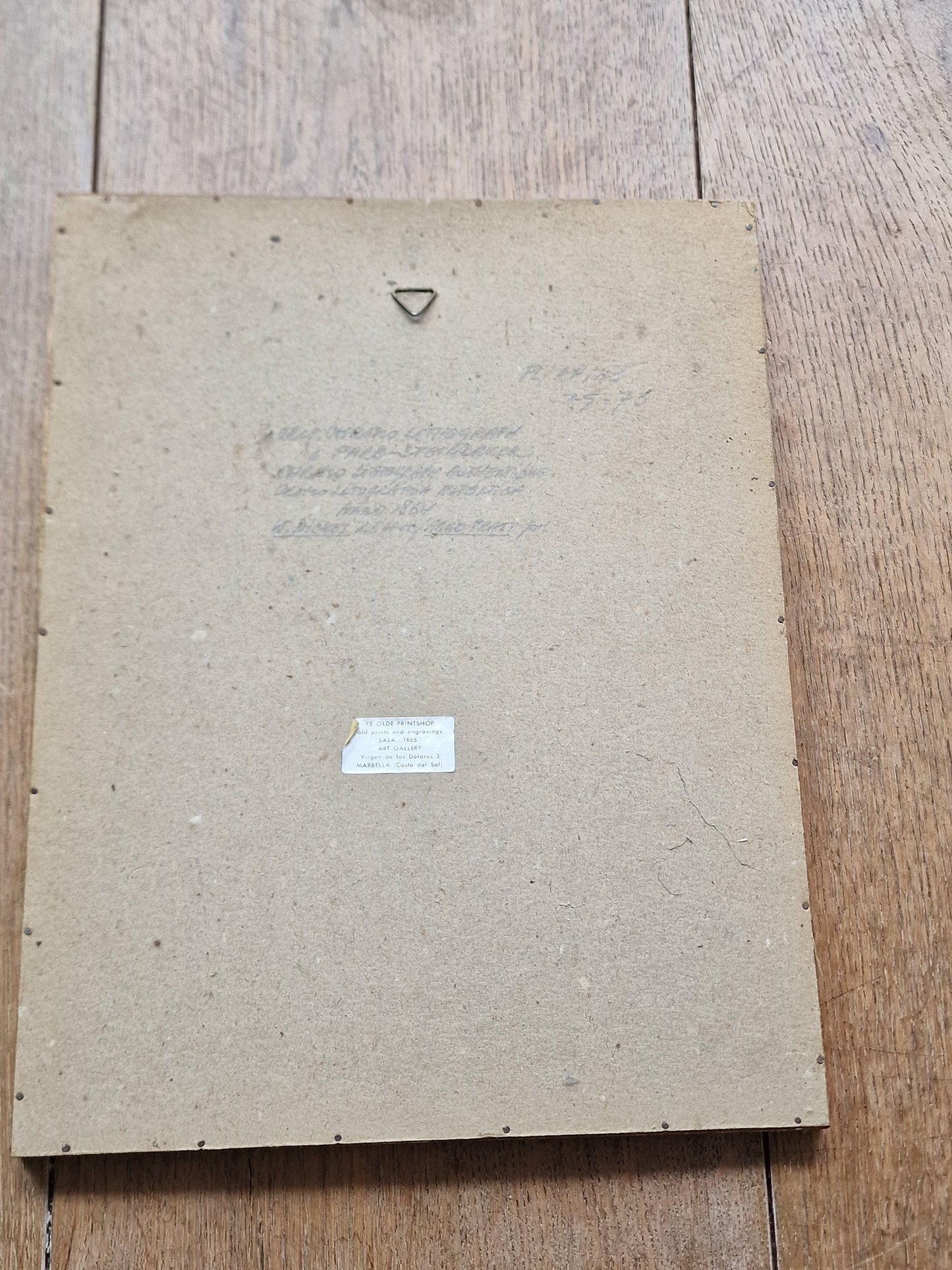 litography plants framed antique 1864 authentique