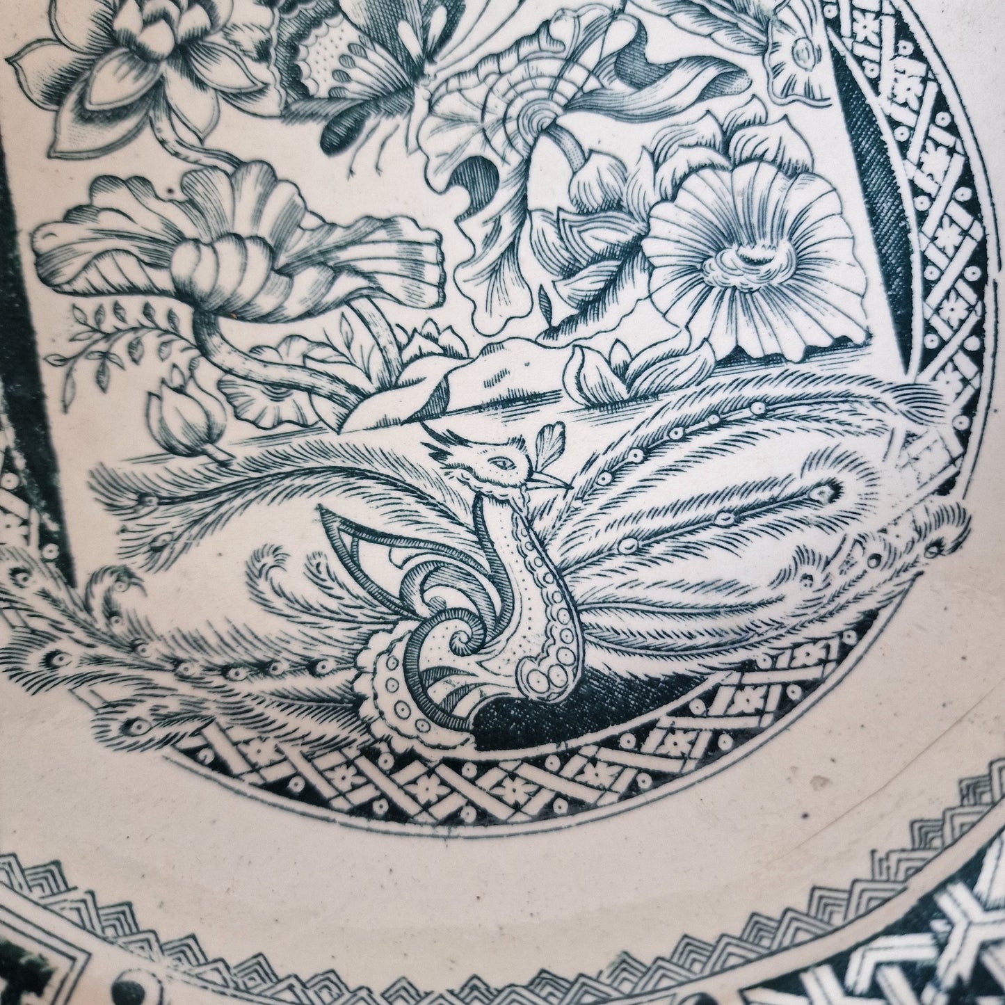 Antique Scottish Transferware Plate, Chinoiserie Peacock Dish, 1890