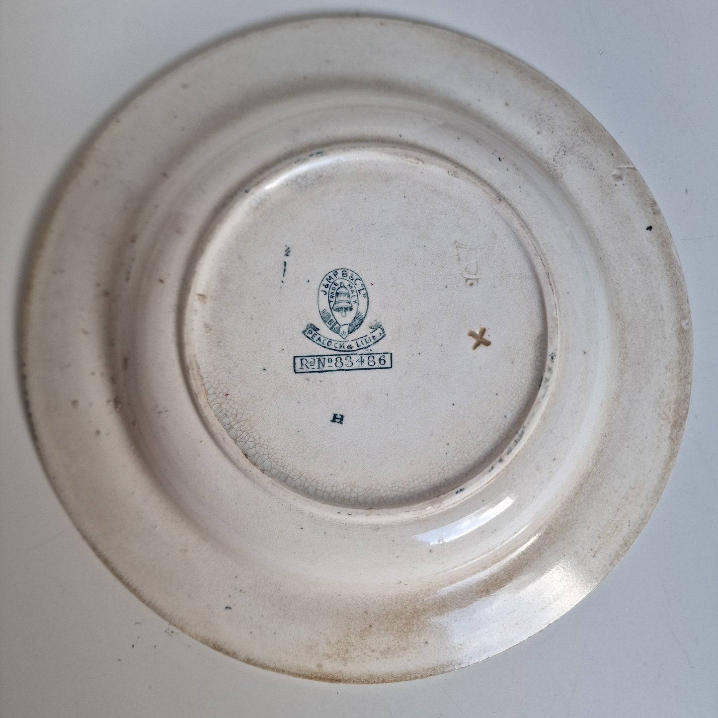 Antique Scottish Transferware Plate, Chinoiserie Peacock Dish, 1890