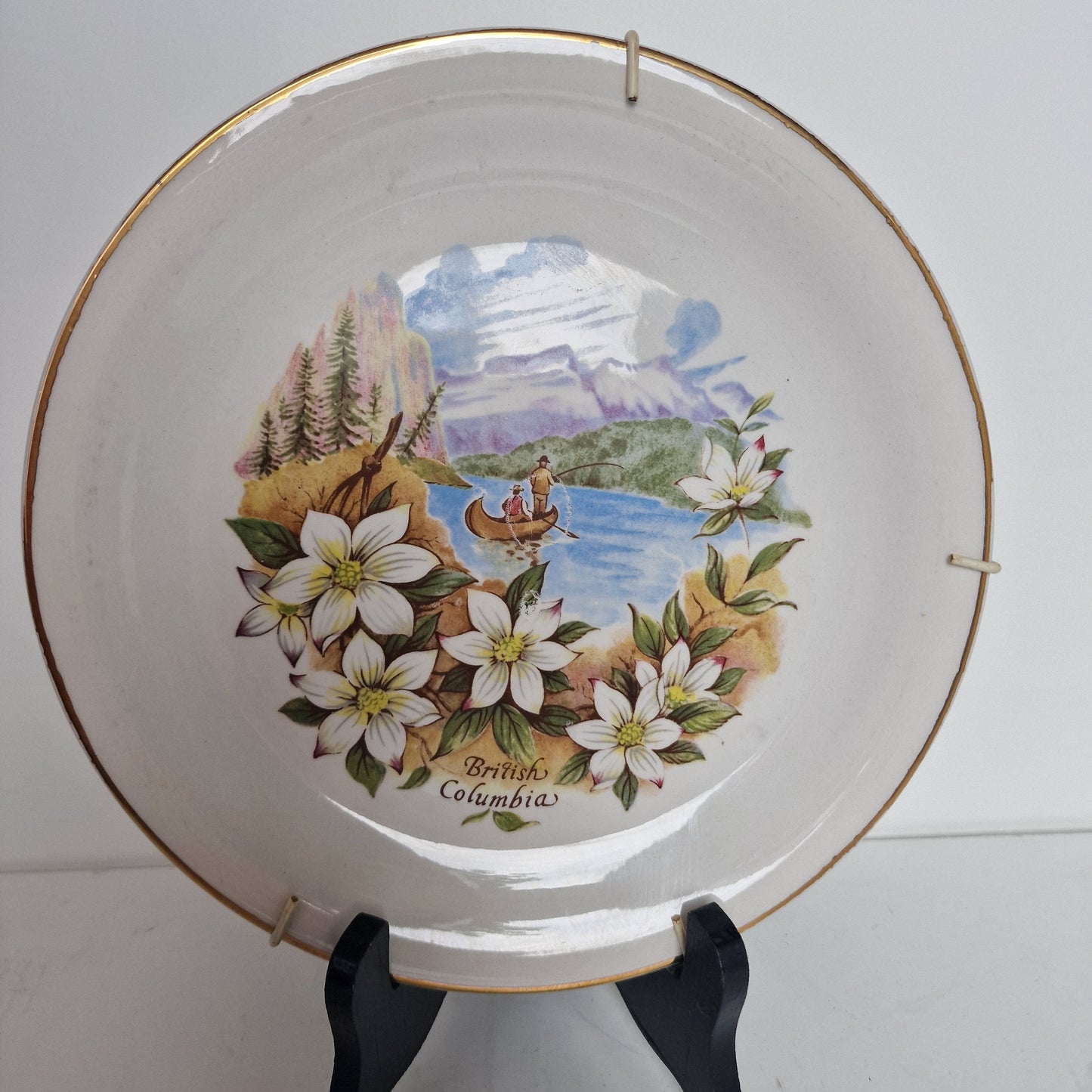 Vintage British Columbia Wall Plate, Floral Landscape, Gold Trim (22.5cm)