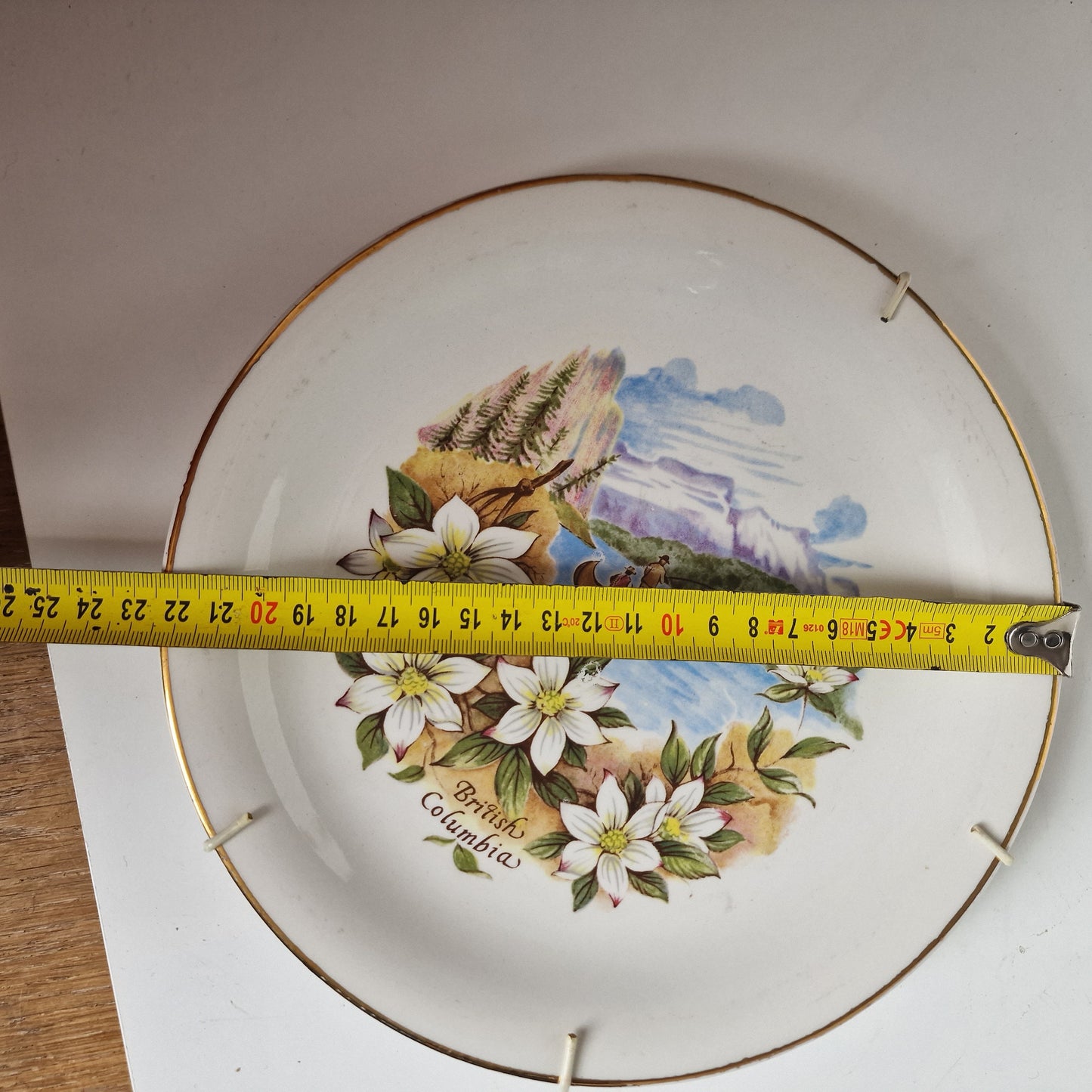 Vintage British Columbia Wall Plate, Floral Landscape, Gold Trim (22.5cm)