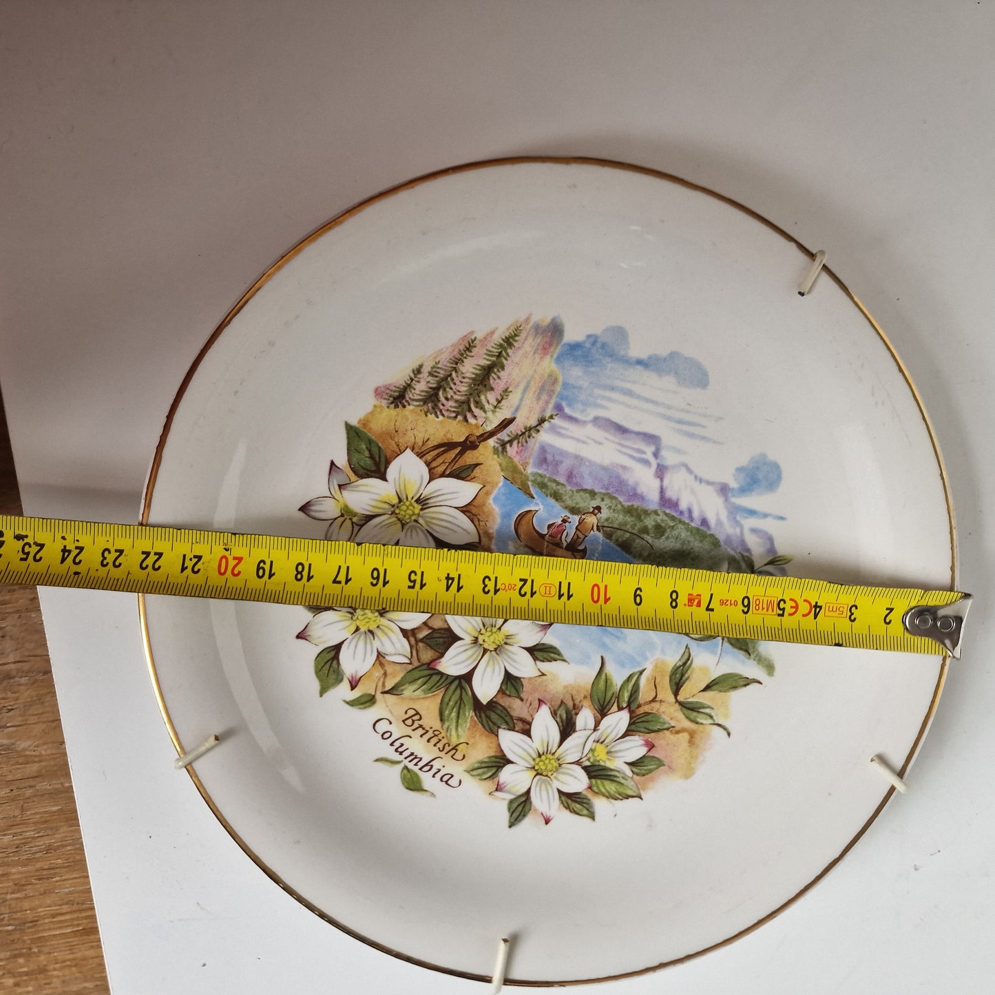 Vintage British Columbia Wall Plate, Floral Landscape, Gold Trim (22.5cm)
