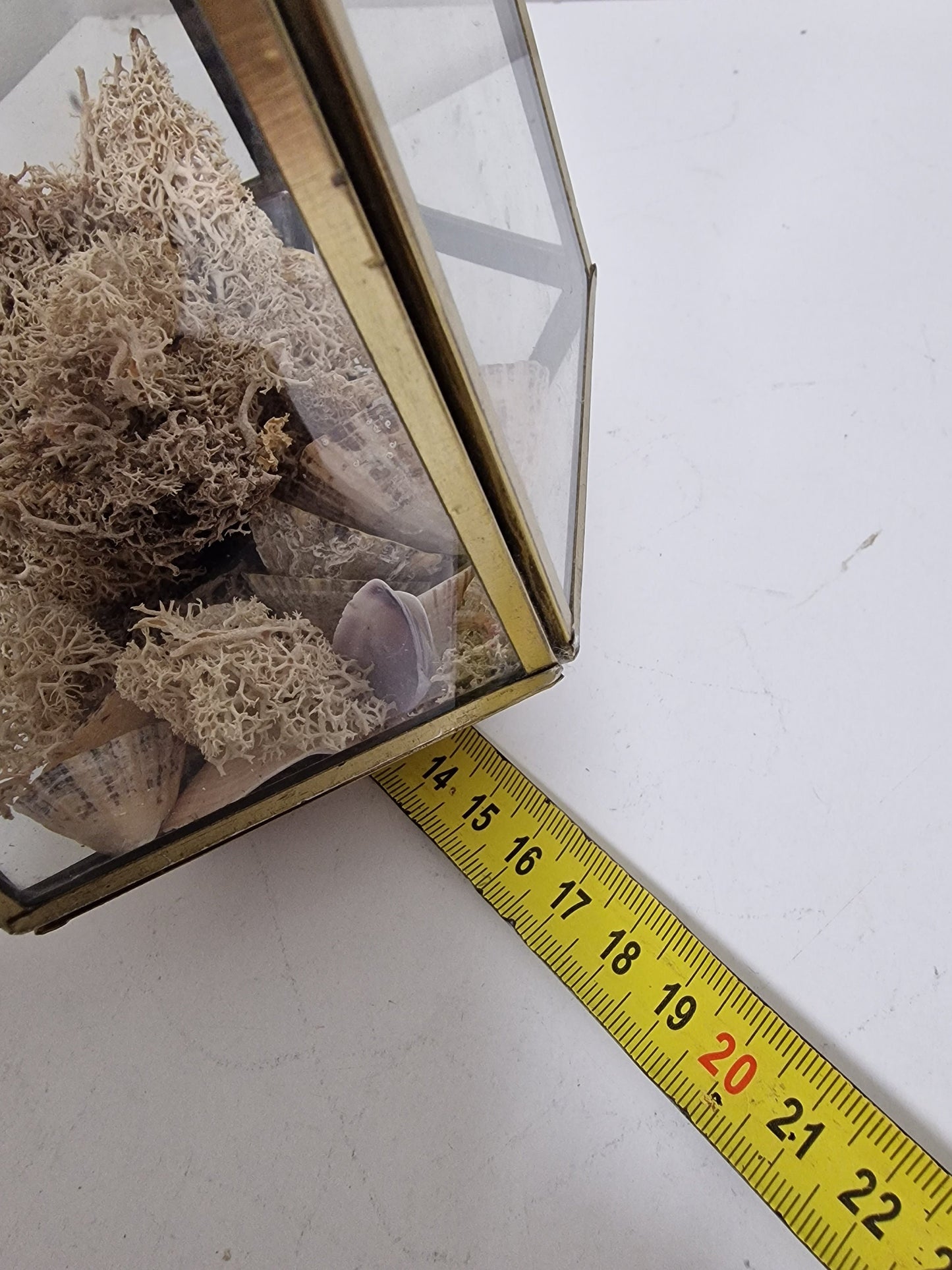 Kleine  antieke franse vitrinekastje, small display sier kastje