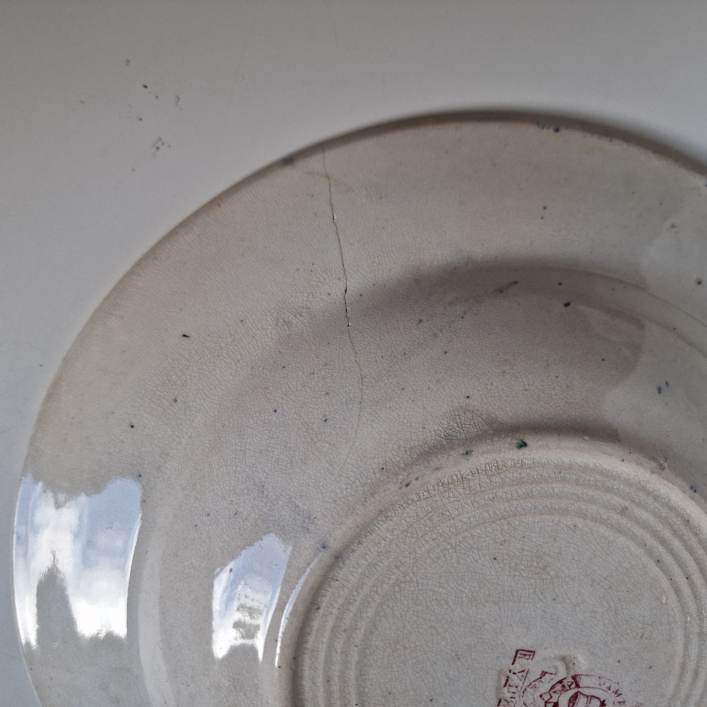 Antique Scottish Transferware Plate, Dragon Chinoiserie Dish, 1890