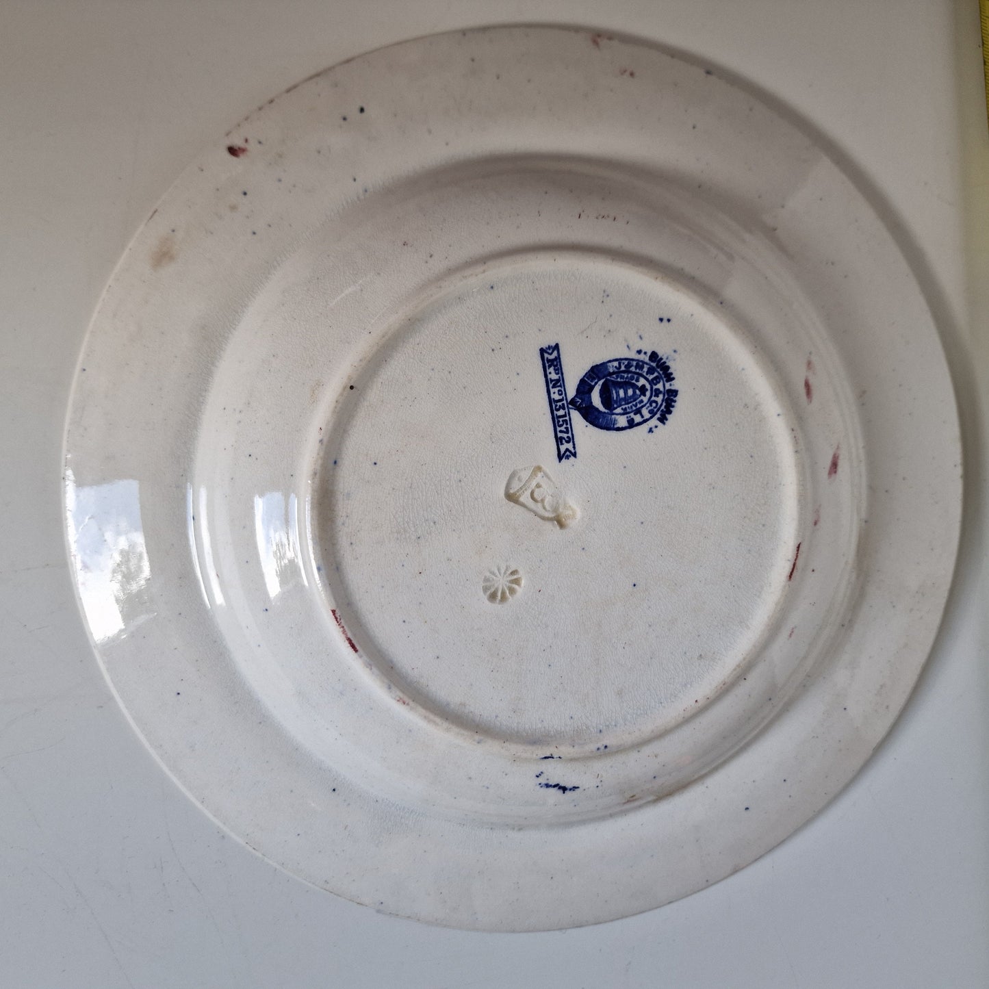 Antique Scottish Chinoiserie Transferware Plate, J&MP Bell BUAM BUAM 1890