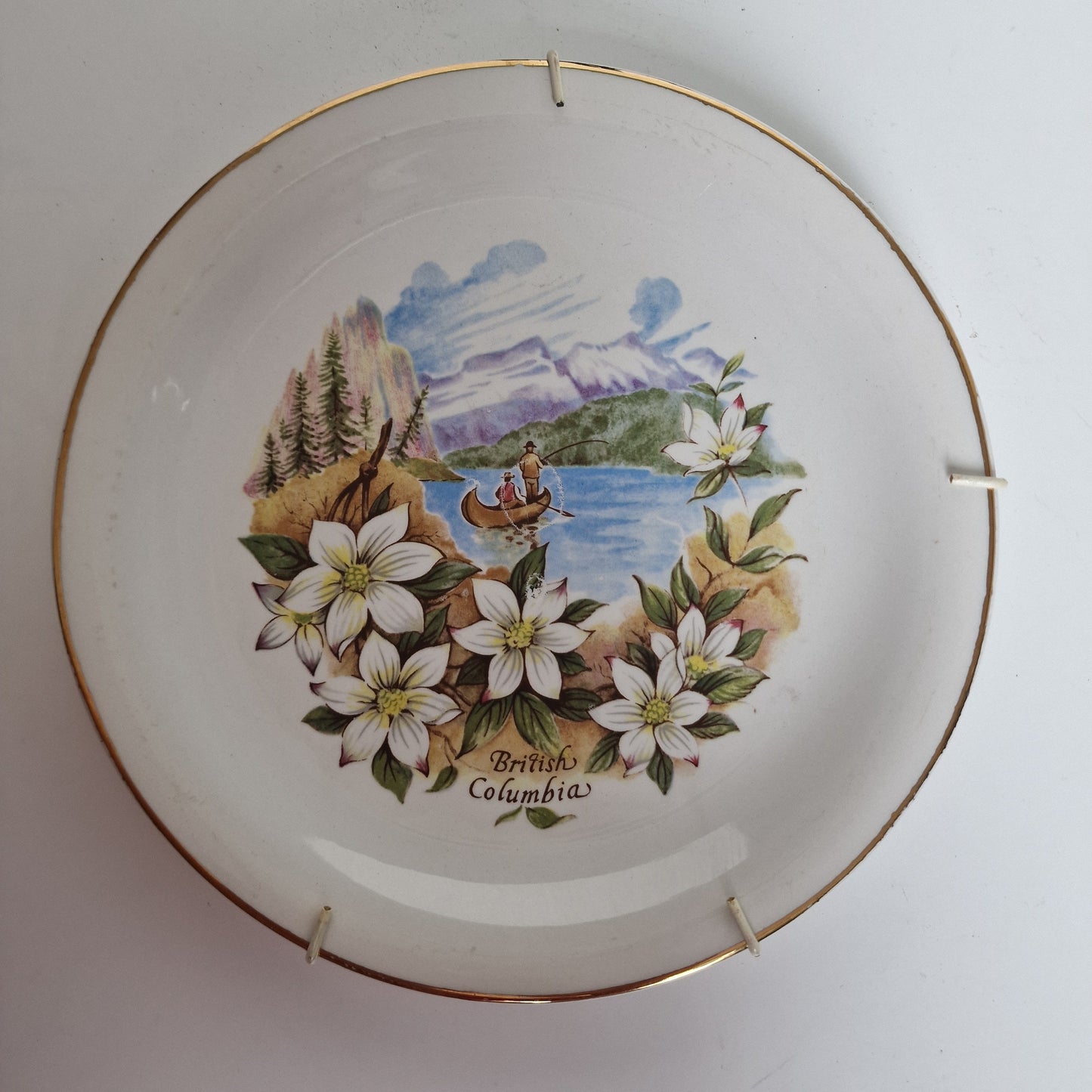 Vintage British Columbia Wall Plate, Floral Landscape, Gold Trim (22.5cm)
