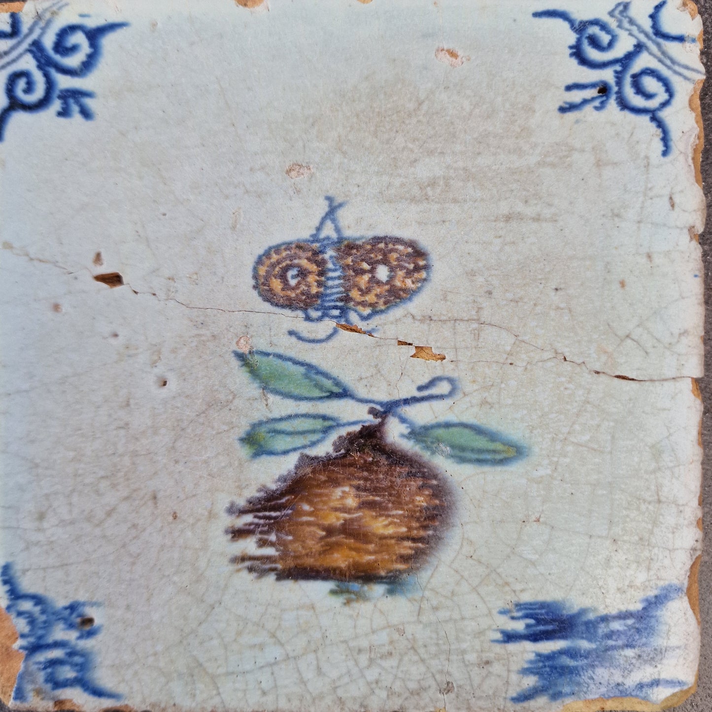 Antique Dutch Tile – Polychrome Butterfly & Fruit, Dated 1630