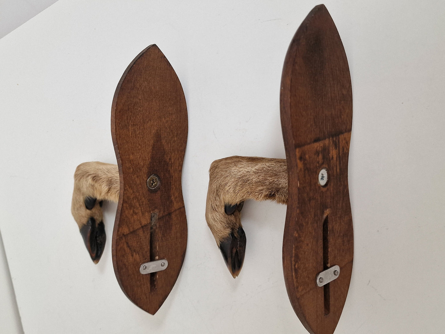 Antique Goat Leg Coatrack, Hunting Cabin Decor, Set of 2
