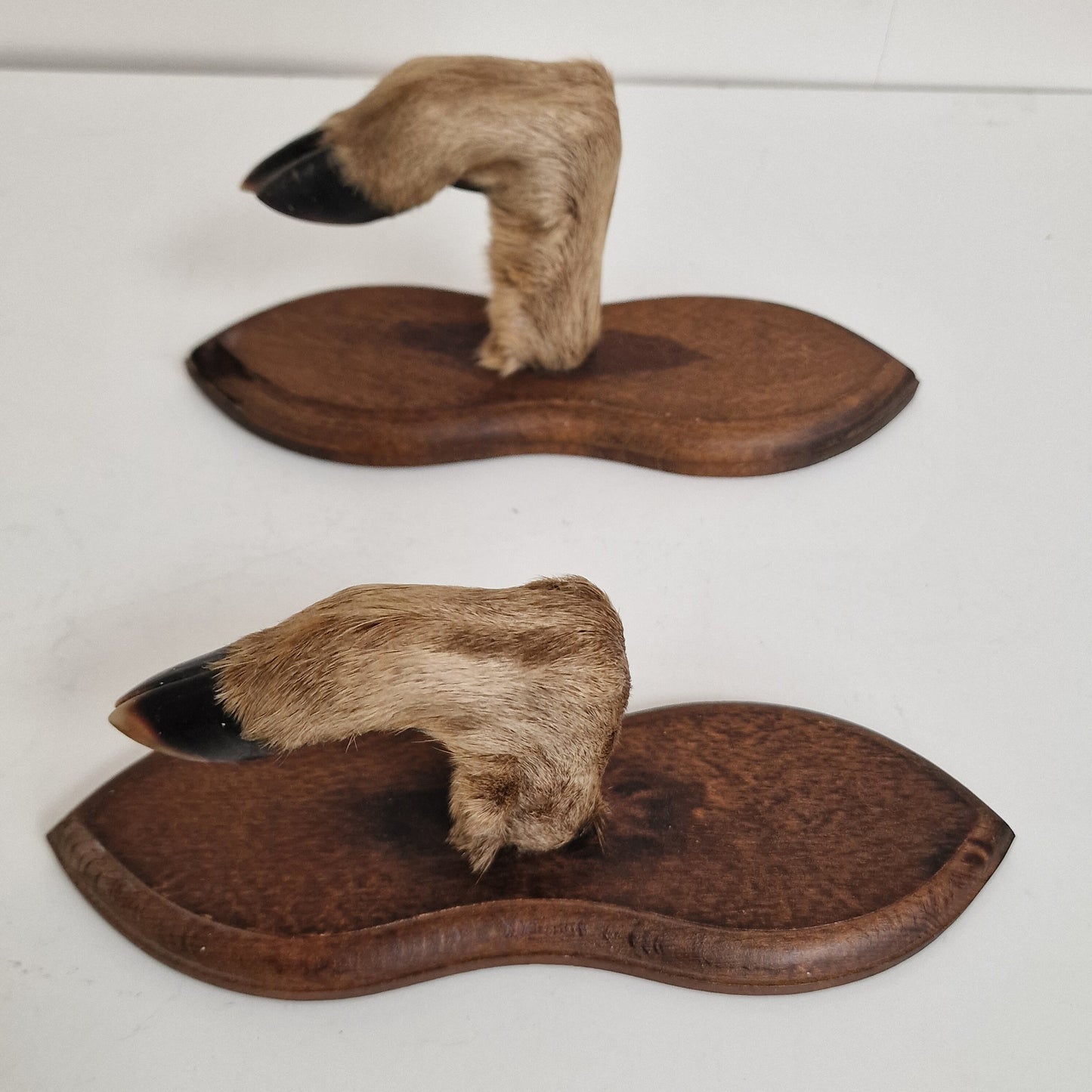 Antique Goat Leg Coatrack, Hunting Cabin Decor, Set of 2
