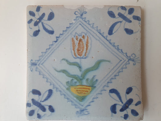 Antique Dutch Tile, Tulip Design, Polychrome Majolica, 1640