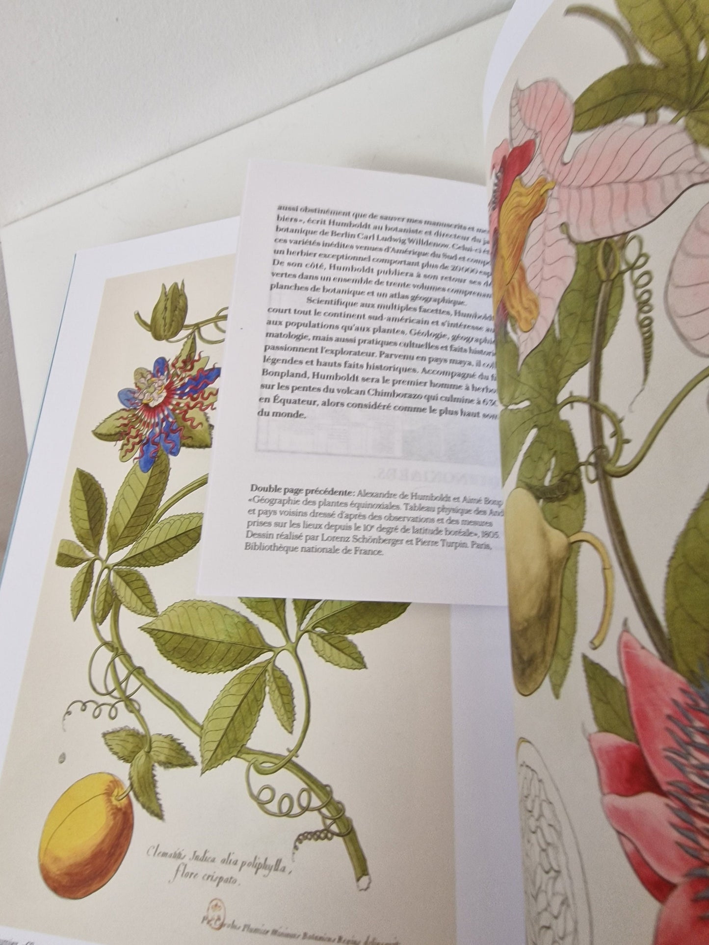 Van Cleef & Arpels FLORAE Book, Flowers, Maison of High Jewelry, Unused