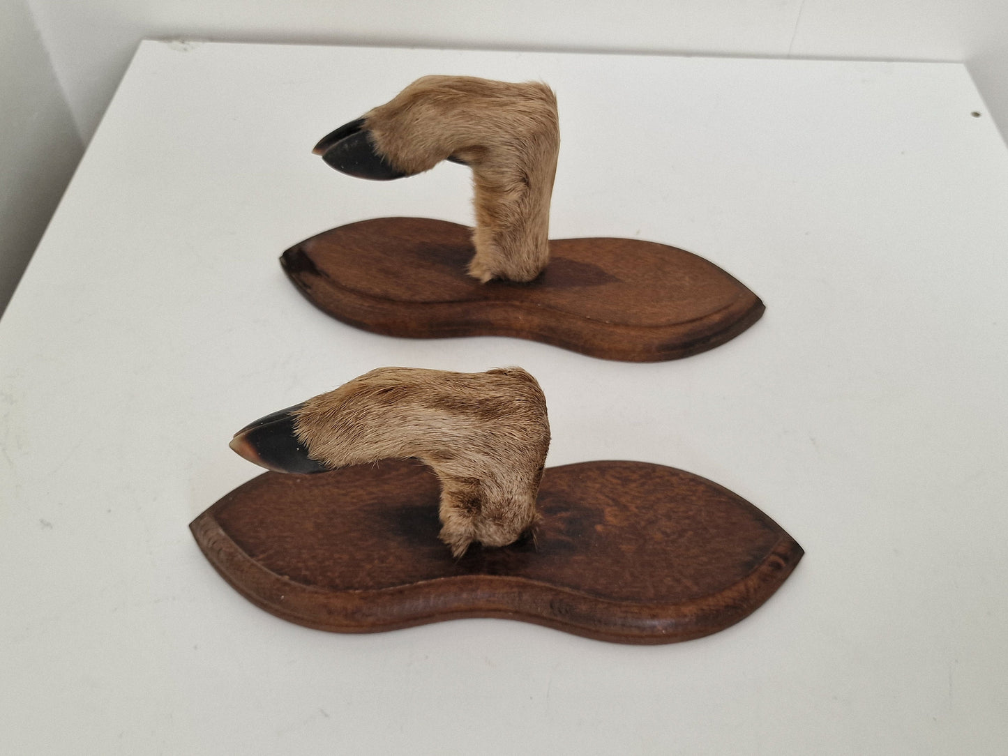 Antique Goat Leg Coatrack, Hunting Cabin Decor, Set of 2
