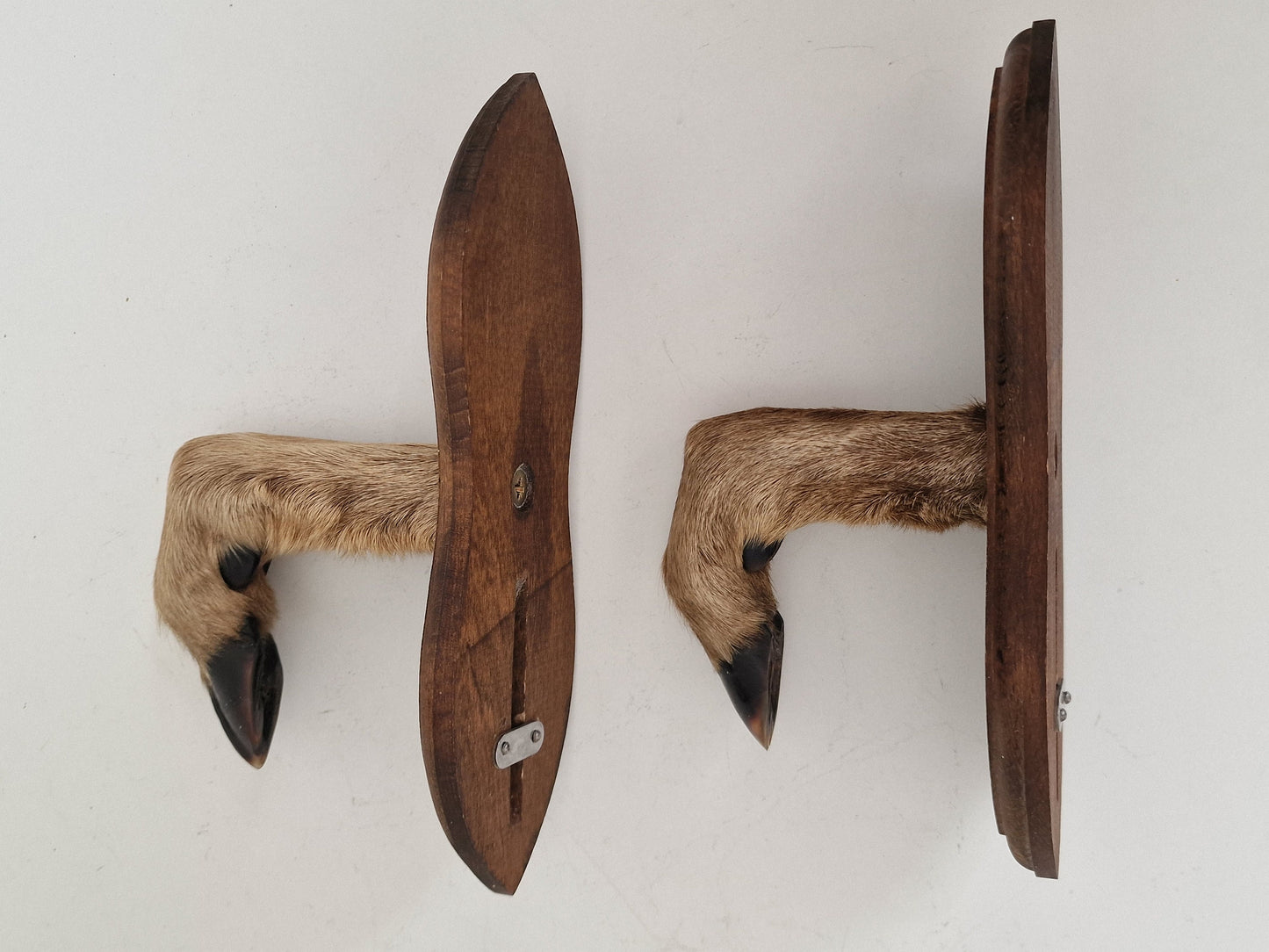 Antique Goat Leg Coatrack, Hunting Cabin Decor, Set of 2
