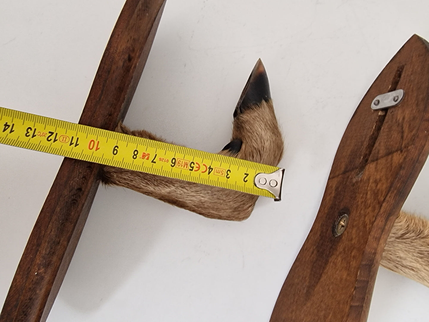Antique Goat Leg Coatrack, Hunting Cabin Decor, Set of 2