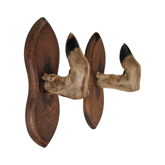 Antique Goat Leg Coatrack, Hunting Cabin Decor, Set of 2