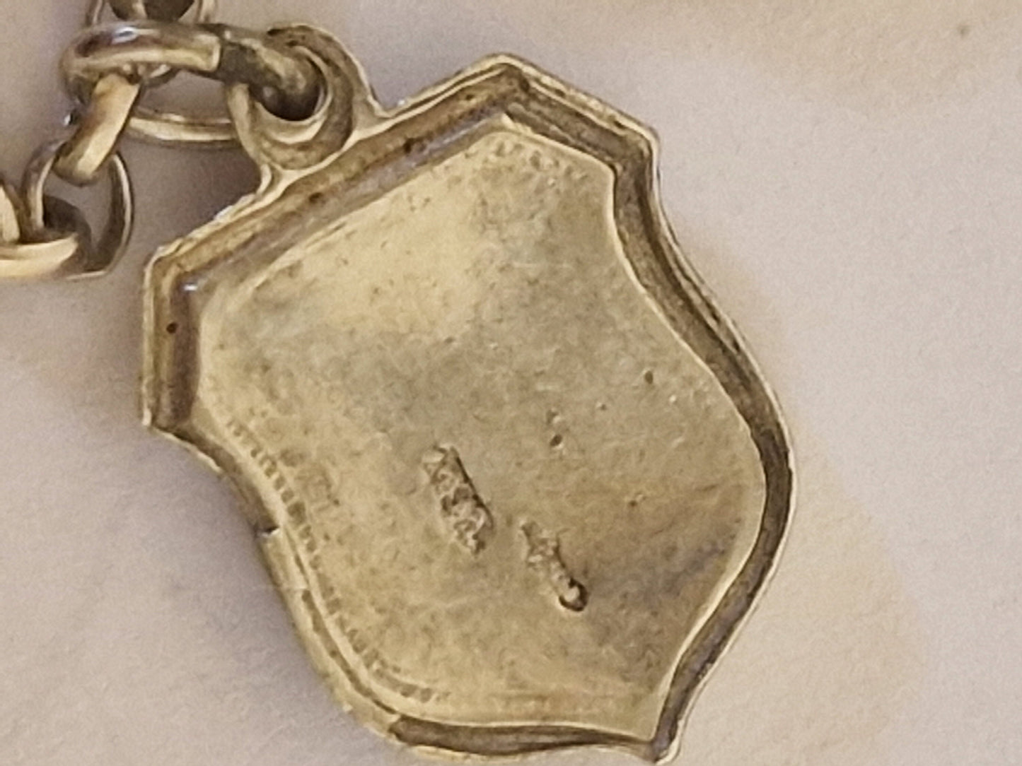 Vintage Silver European Coat of Arms Charm Necklace