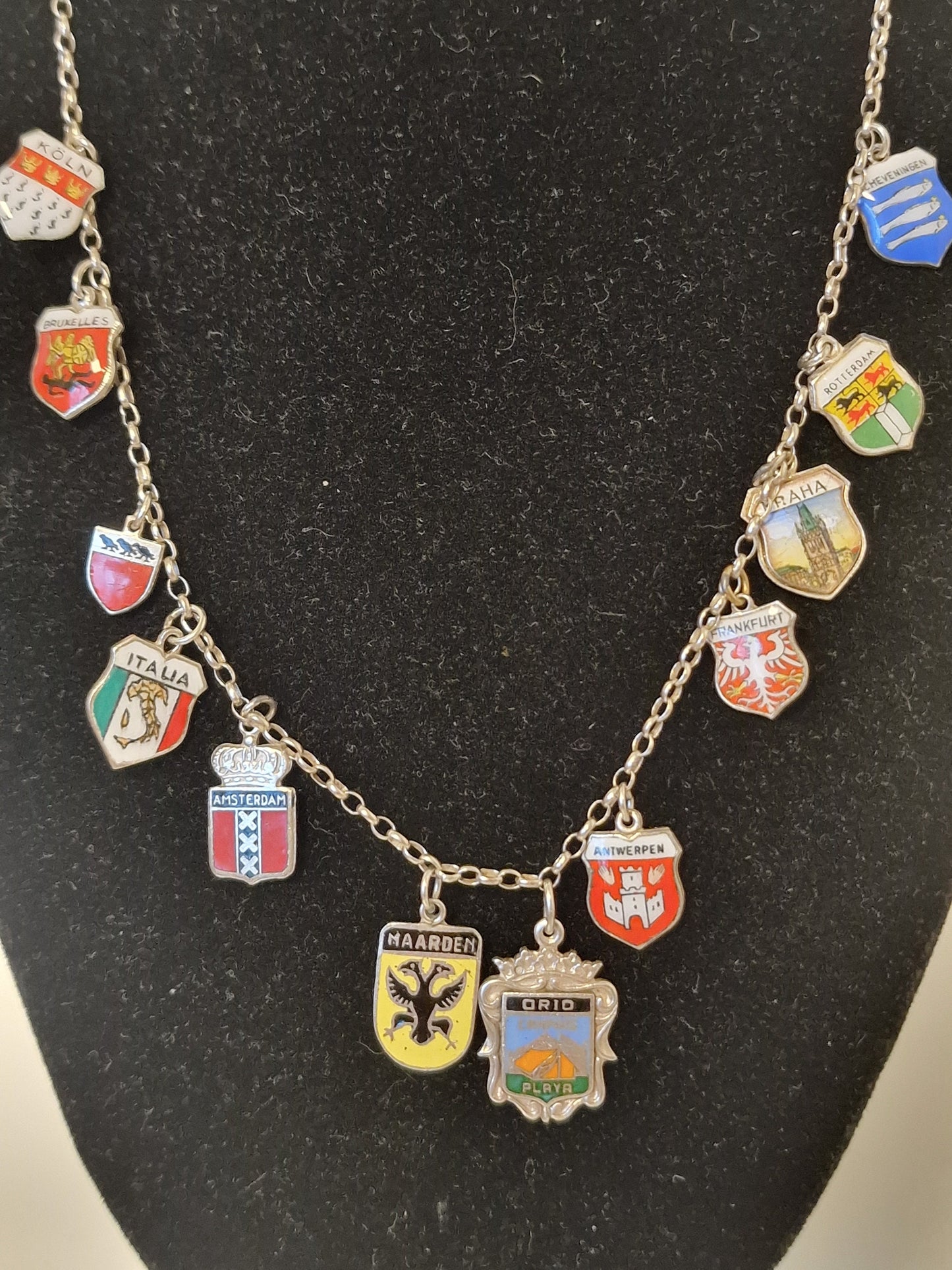 Vintage Silver European Coat of Arms Charm Necklace