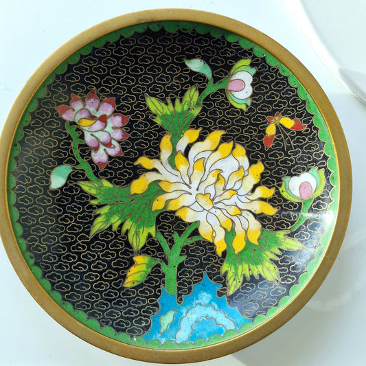 Antique Chinese Cloisonne Plate, Chrysanthemum Butterfly Design, Republic Era