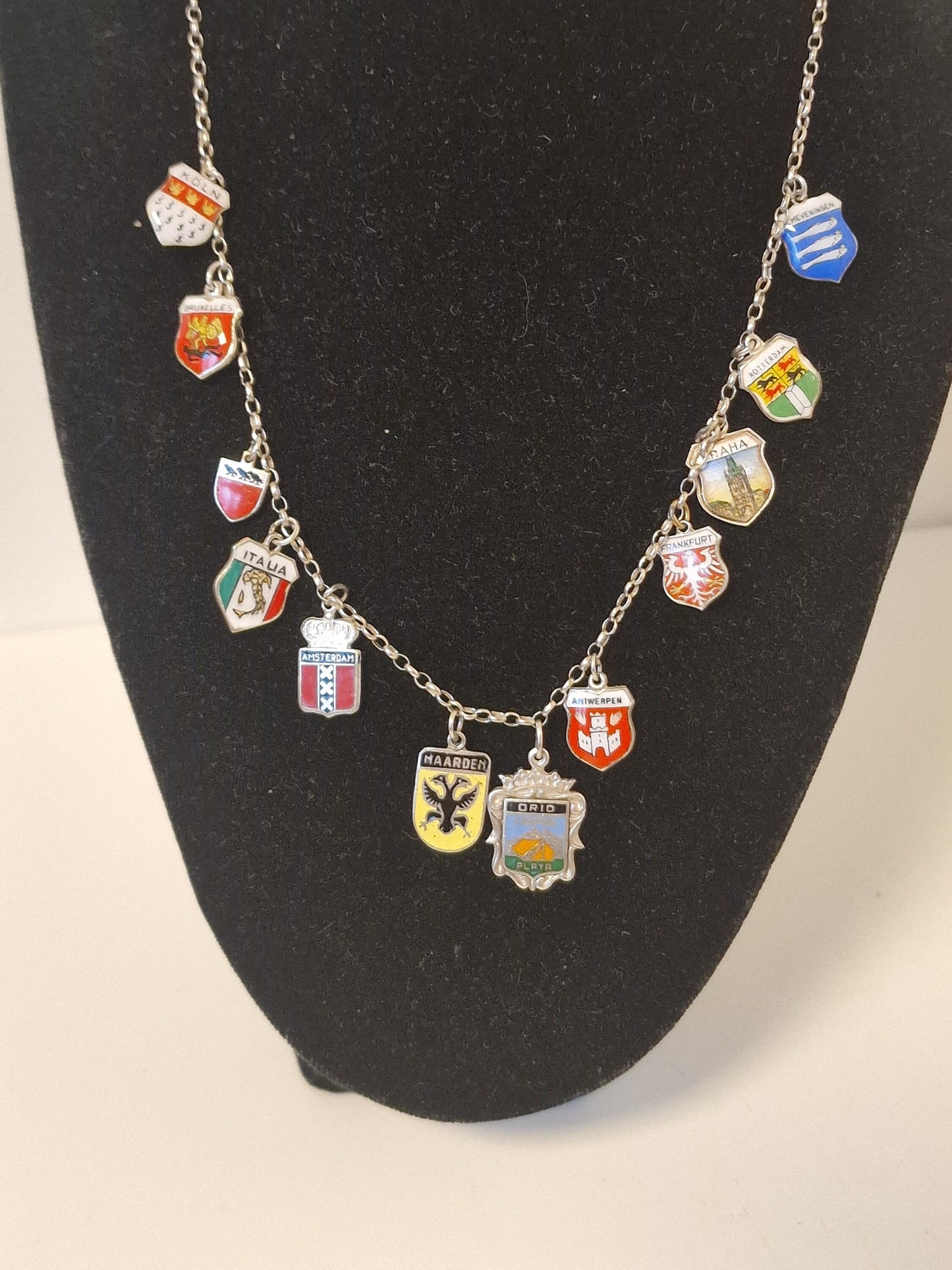 Vintage Silver European Coat of Arms Charm Necklace