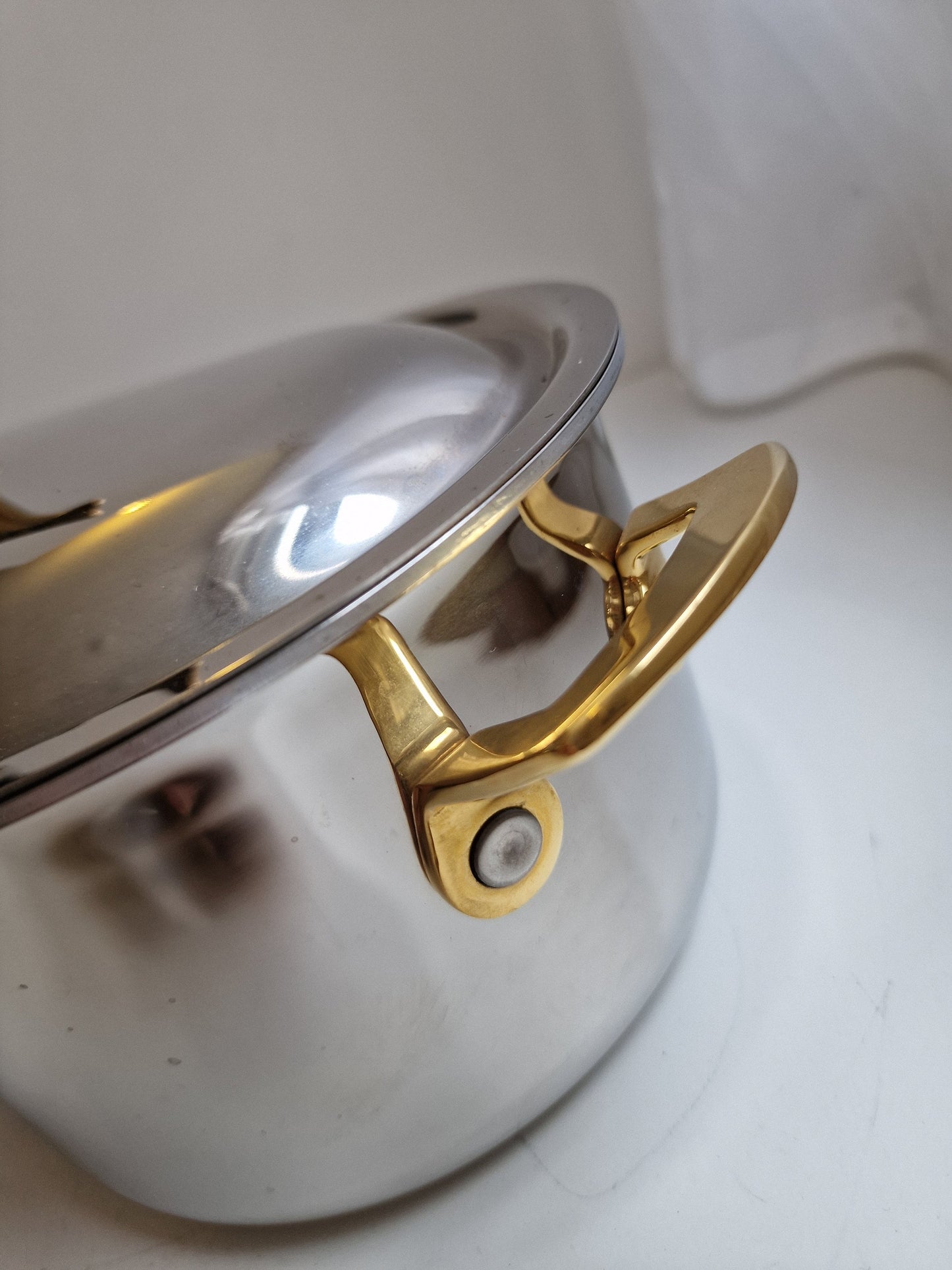 forel swiss trout pan cooking serving xl chrome brass marked switserland