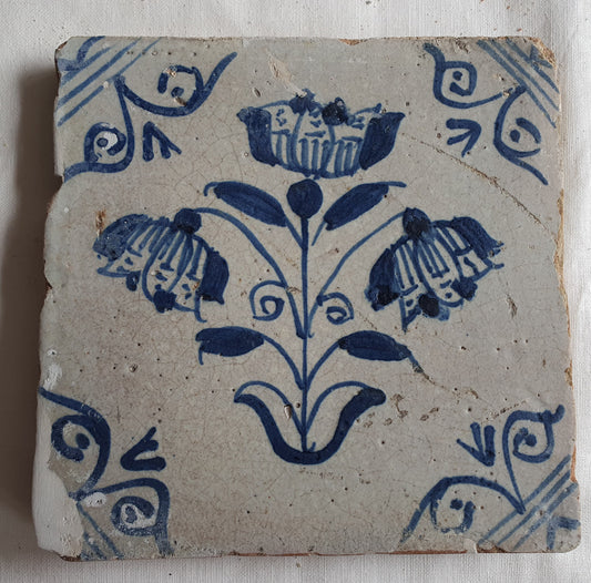 Antique Dutch Tile -  rare , oxhead corner - Dated 1640- 1660 tulp drietulp in antique