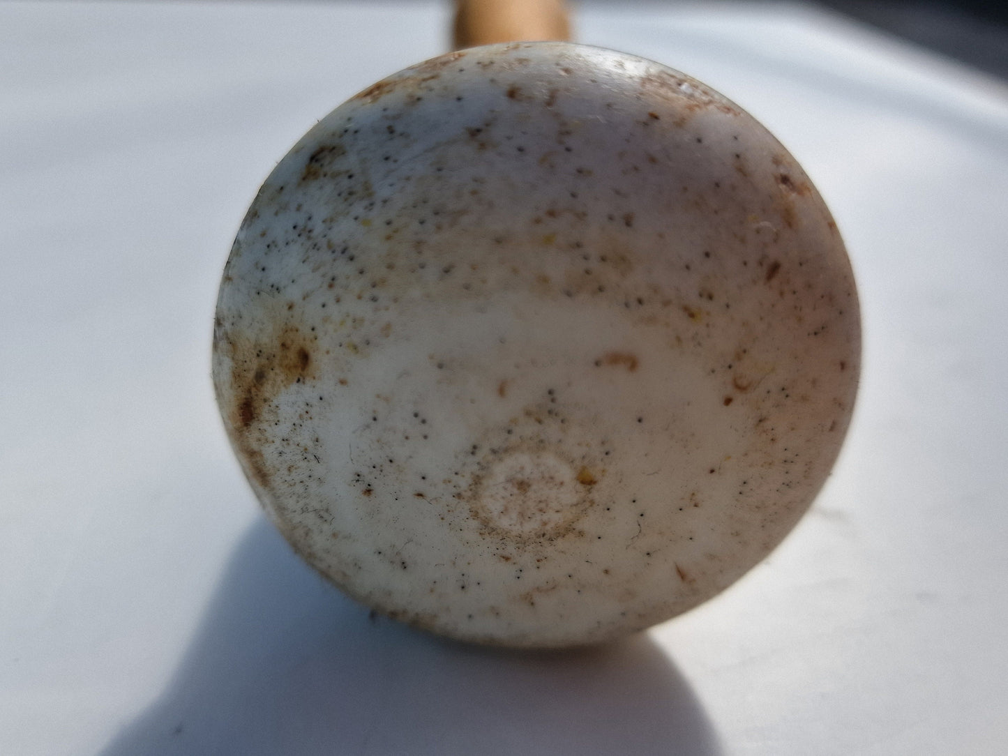 antique xl apotheker pestle, 19th century, rare, antiek, wood and ceramic, uk england