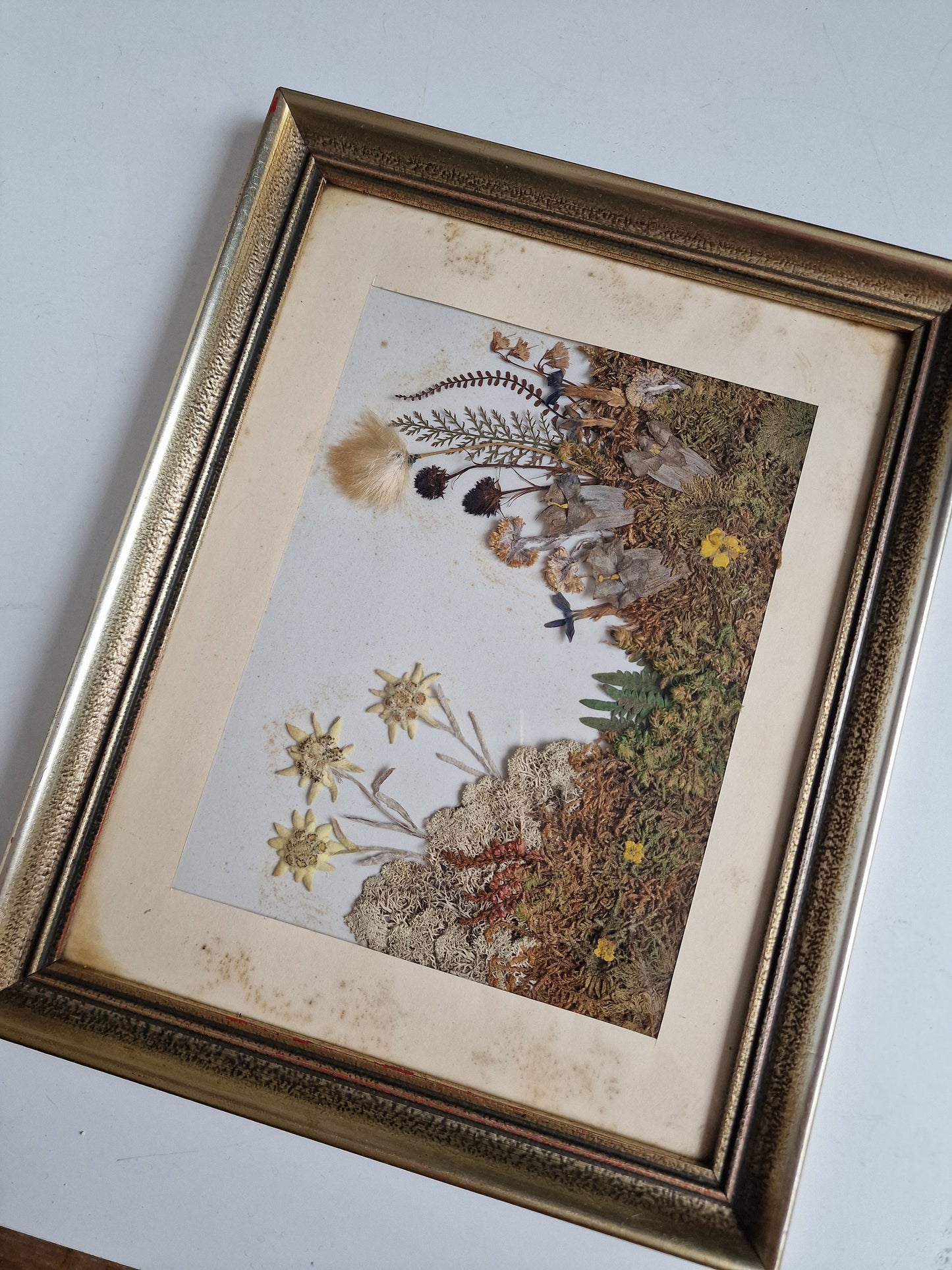 Antique Edelweiss 3D Diorama, Austrian Alps Painting (1900-1940)