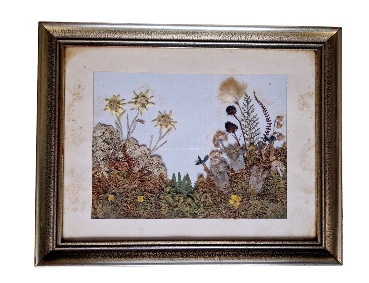 Antique Edelweiss 3D Diorama, Austrian Alps Painting (1900-1940)