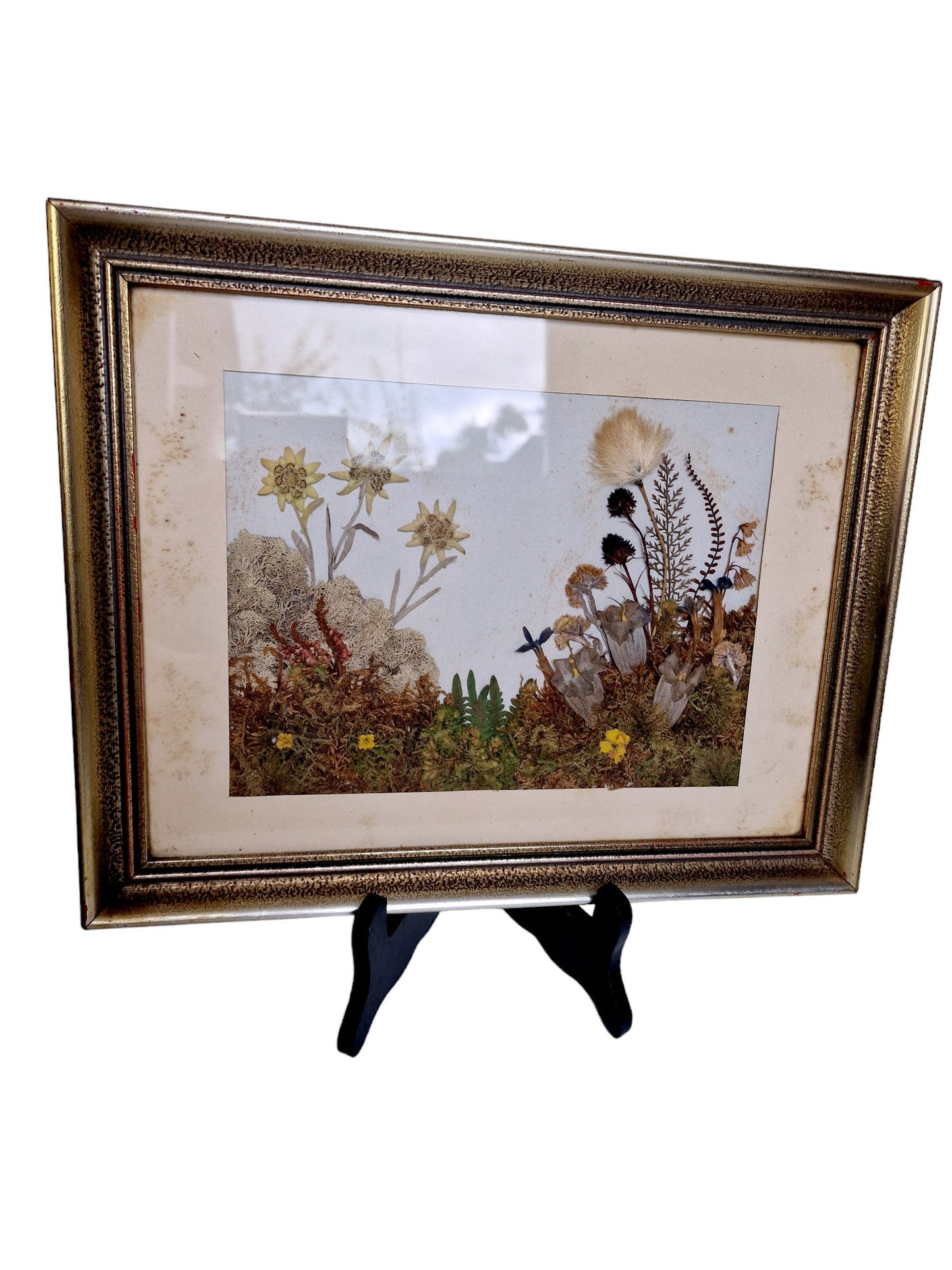Antique Edelweiss 3D Diorama, Austrian Alps Painting (1900-1940)
