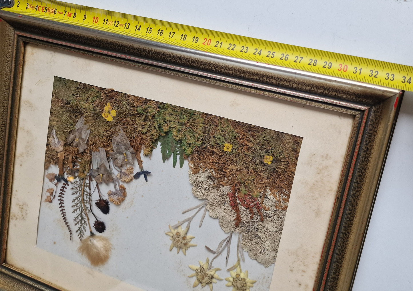Antique Edelweiss 3D Diorama, Austrian Alps Painting (1900-1940)